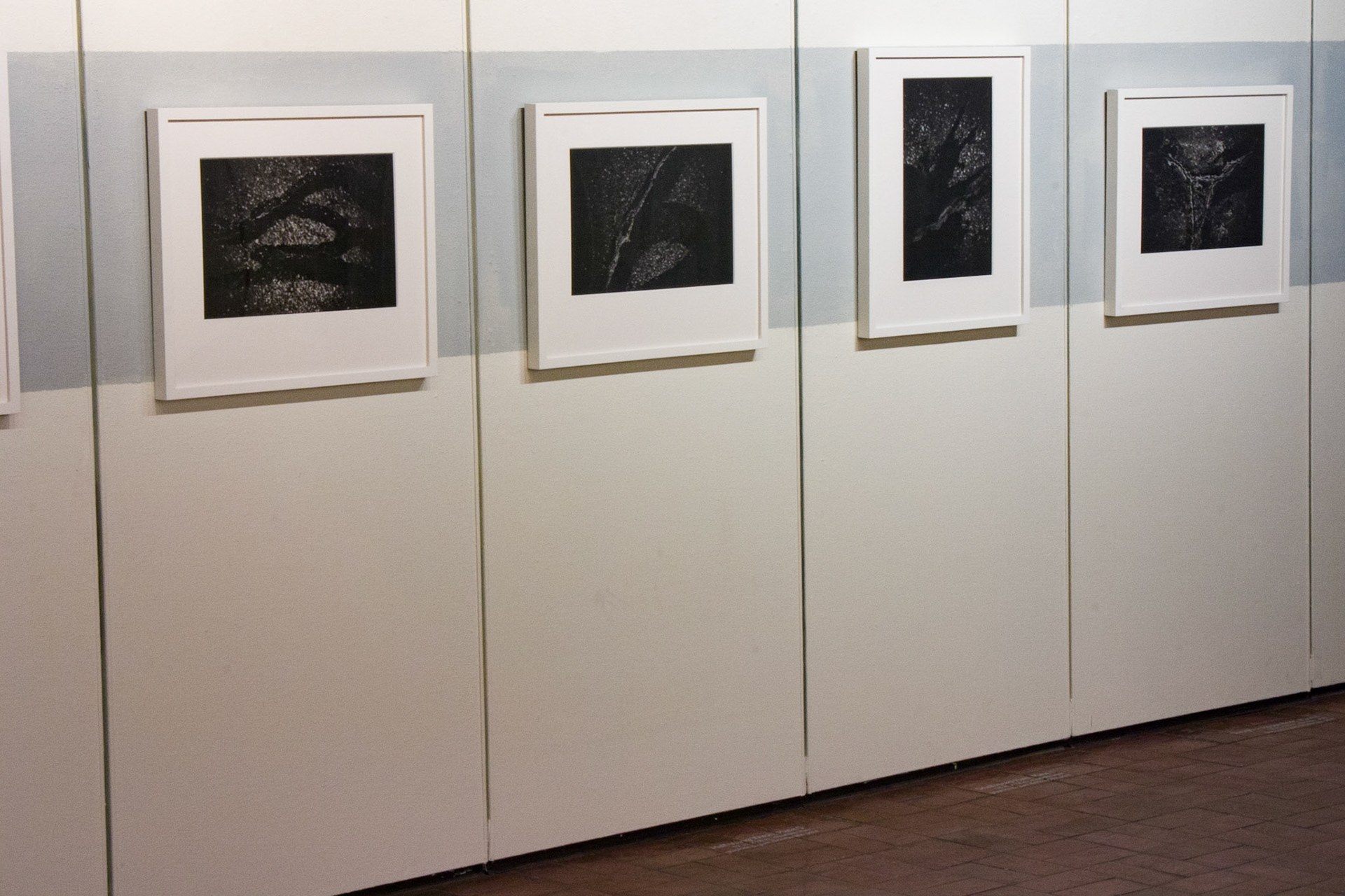 Exhibition shot