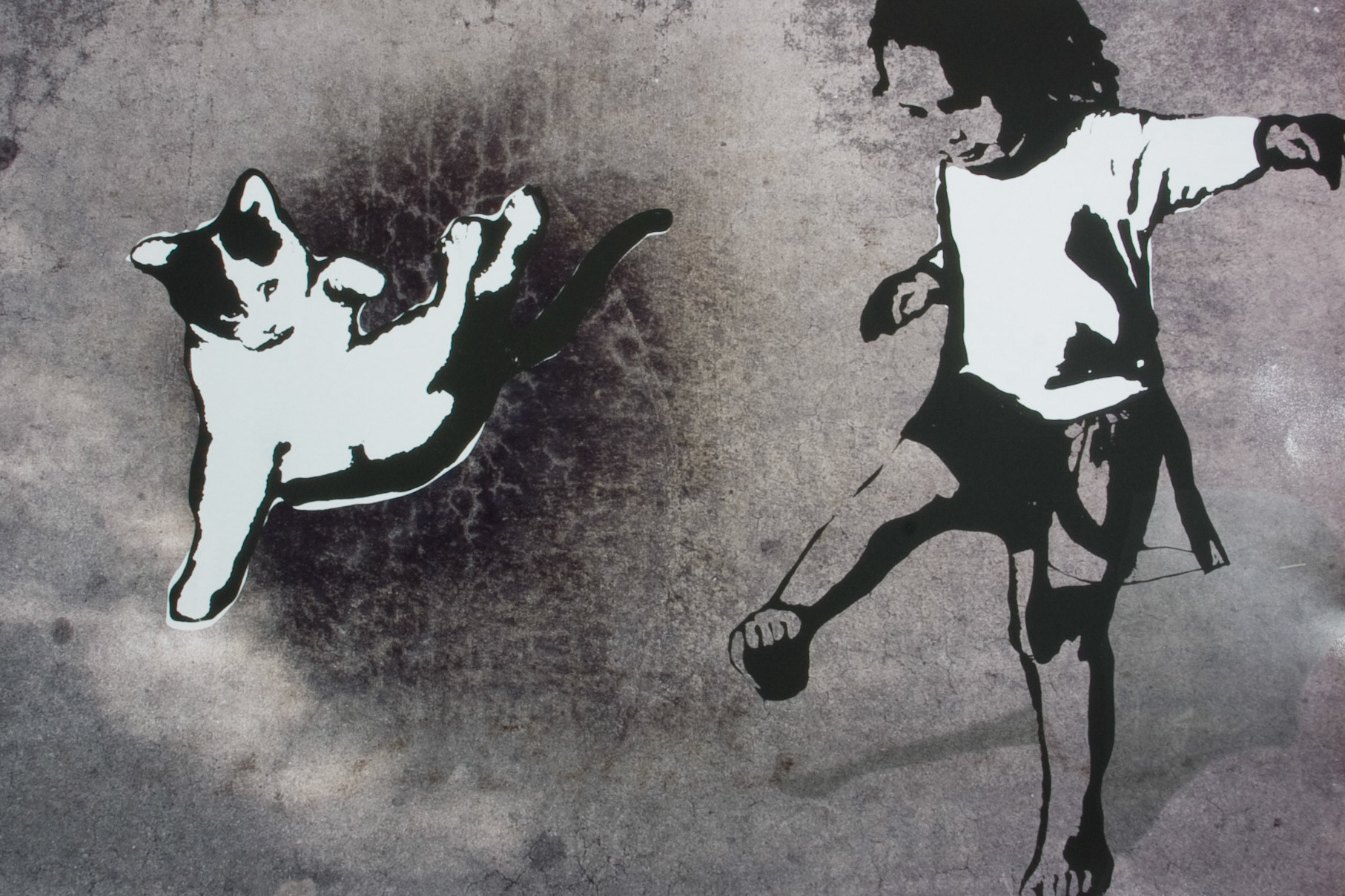 Kick the Cat; Screenprint on C-print, 20x30 inches; © 2009