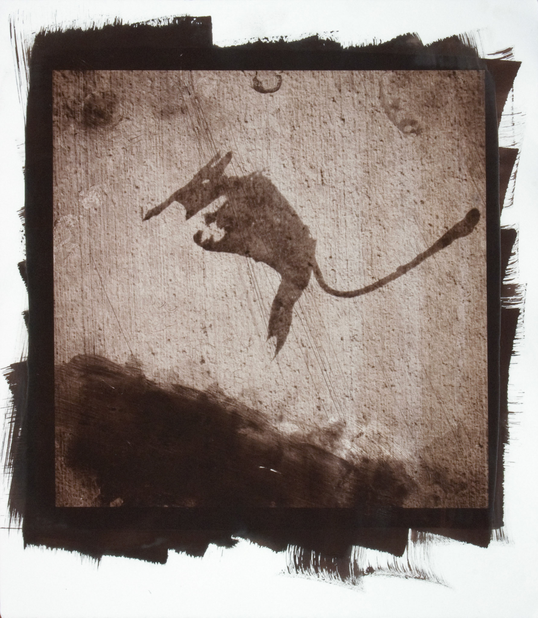 Creature No. 3; Van Dyke photograph, 17 x 15 inches; © 2010