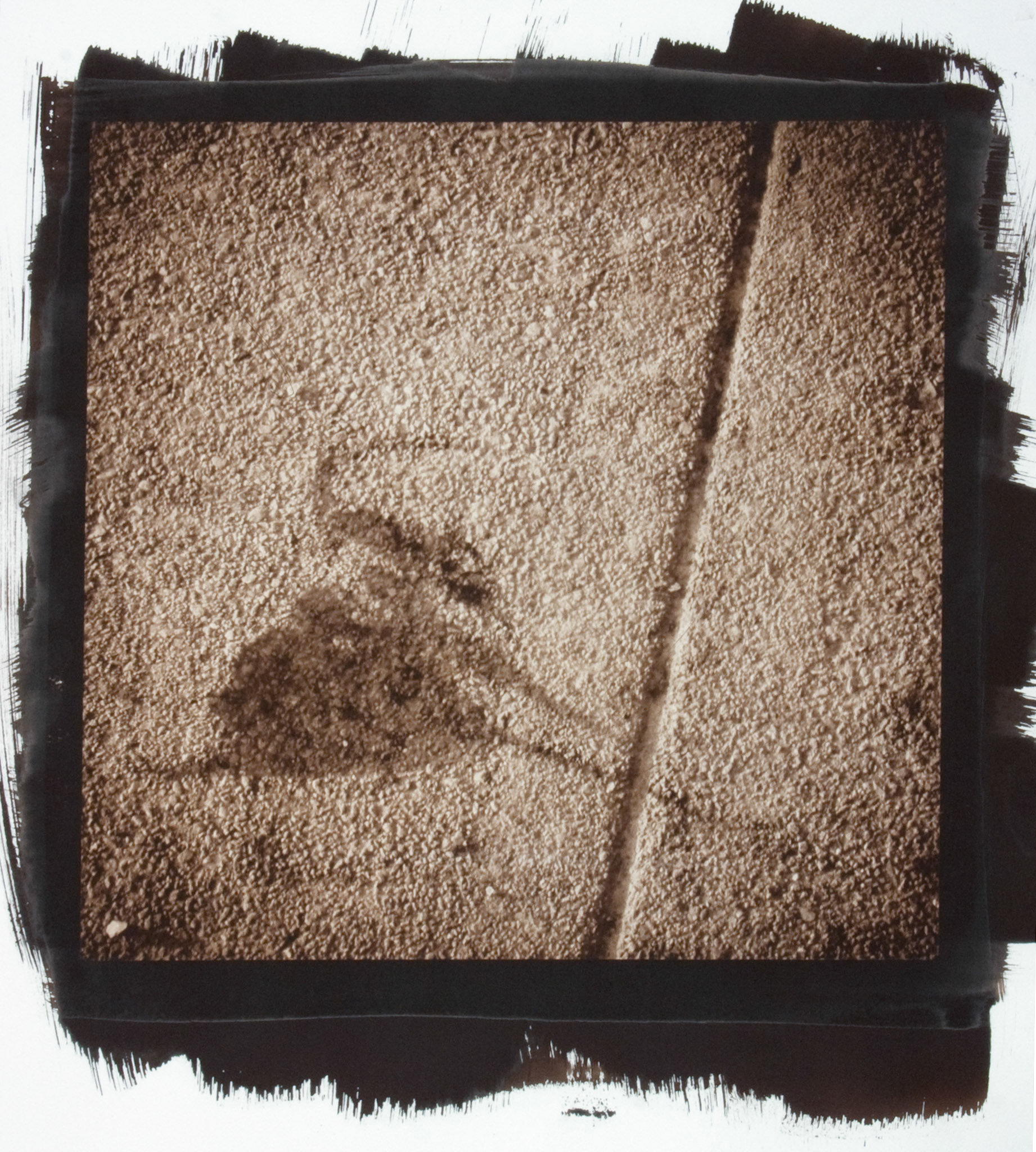 Creature No. 21; Van Dyke photograph, 17 x 15 inches; © 2010