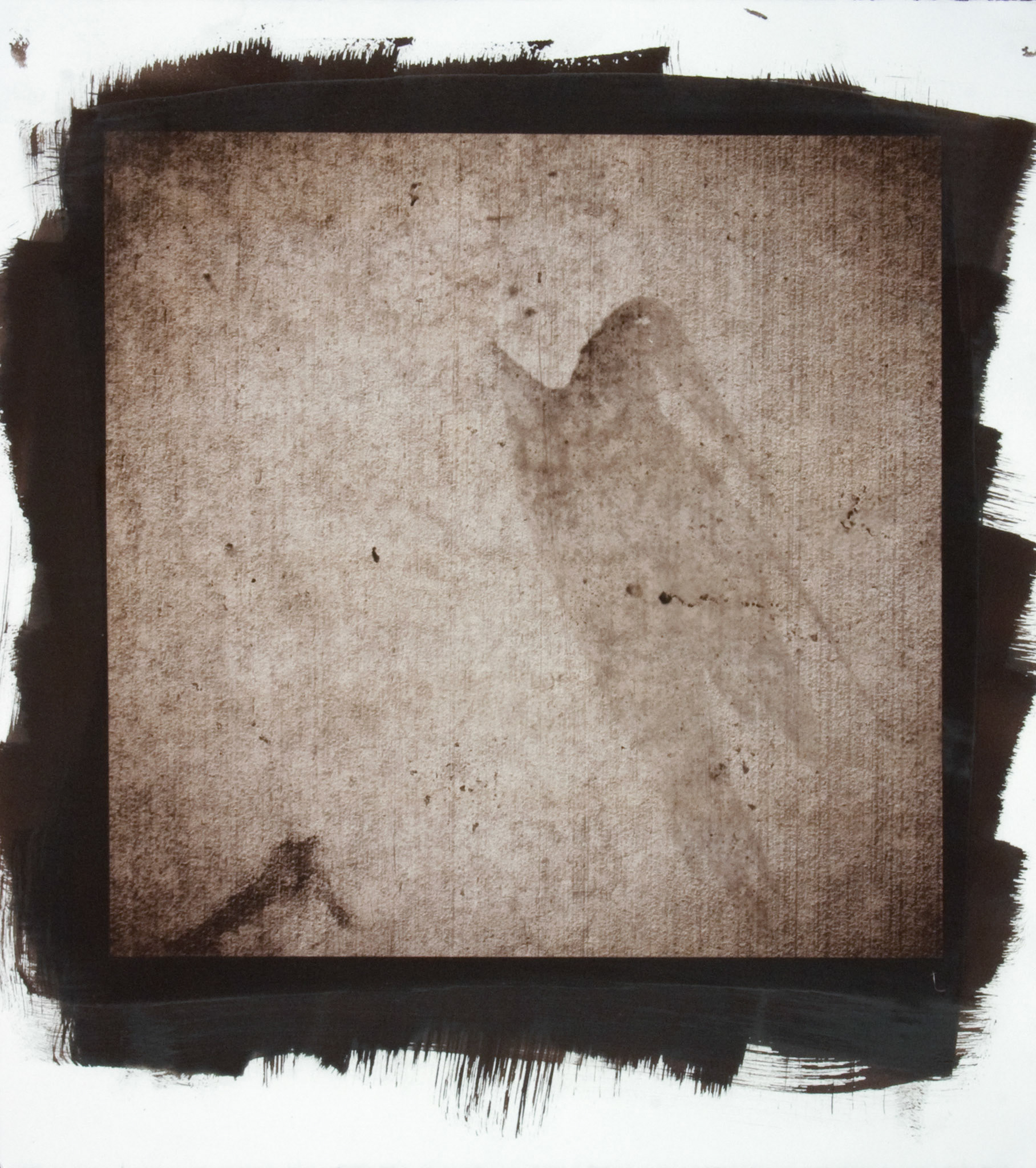 Creature No. 1; Van Dyke photograph, 17 x 15 inches; © 2010