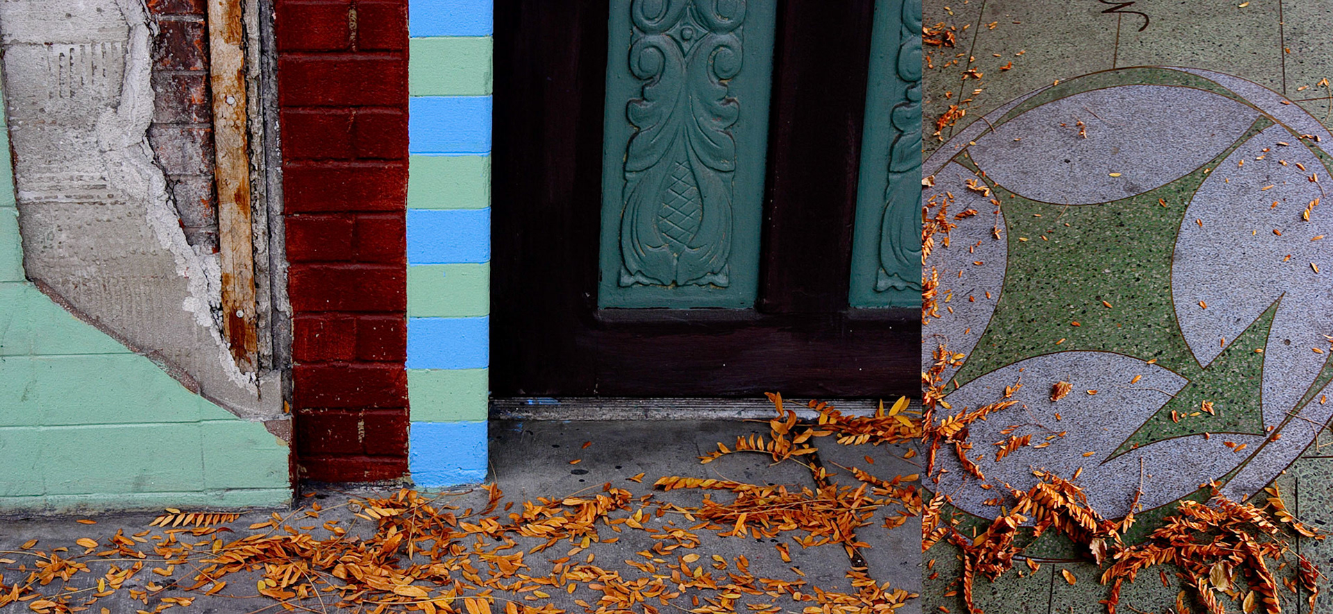 Autumn Leaves; Pigment print, 8.3 x 18 inches; © 2007