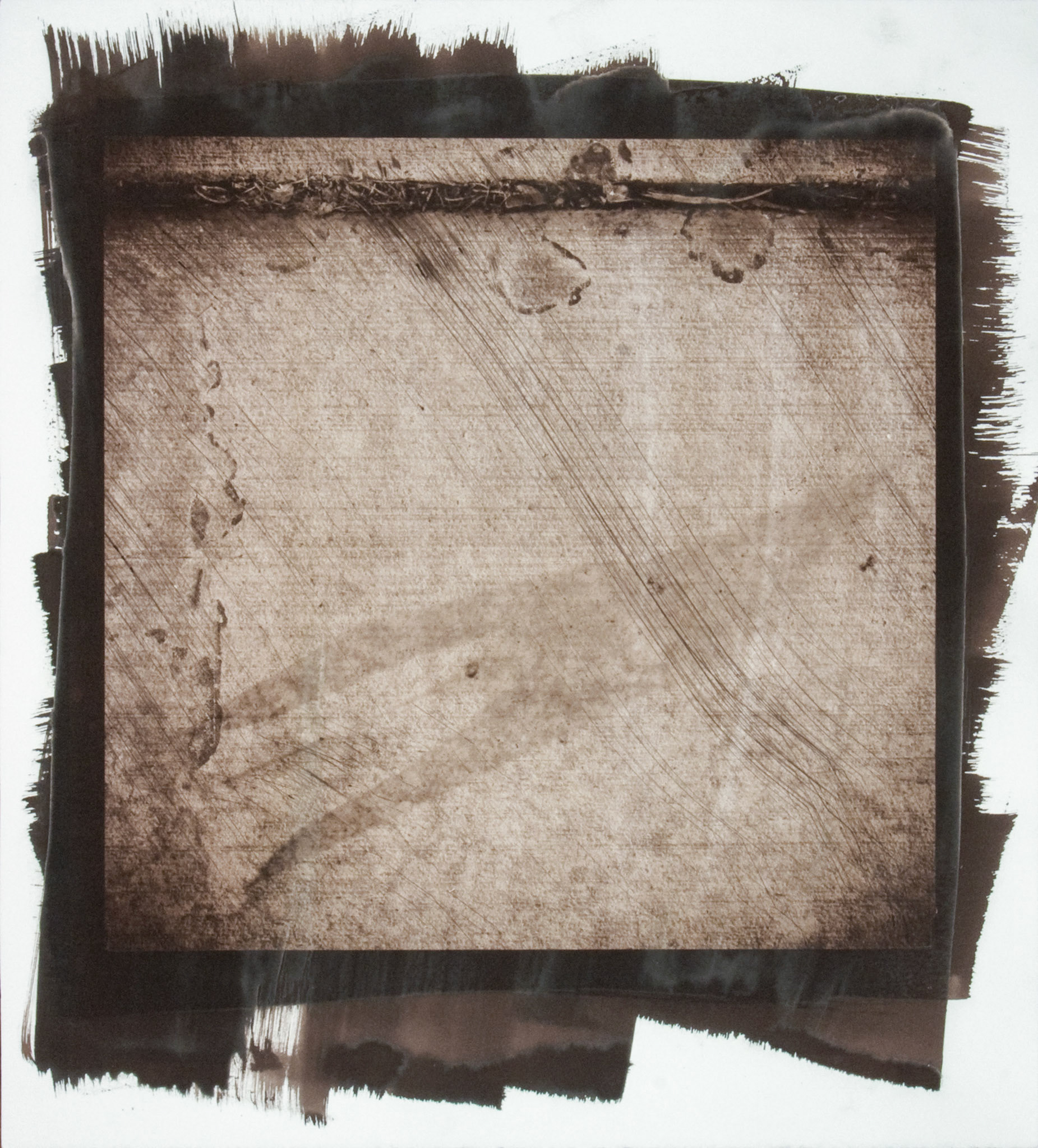 Creature No. 2; Van Dyke photograph, 17 x 15 inches; © 2010