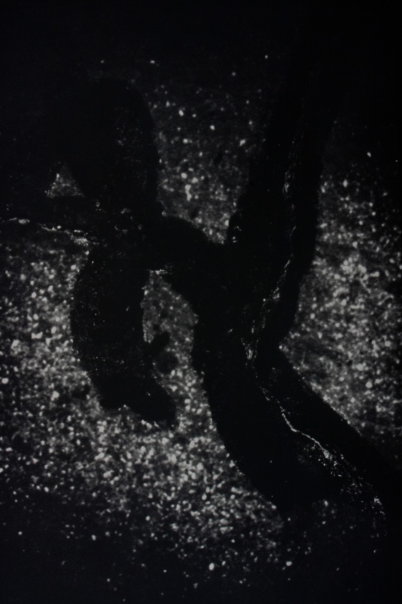 Death March Bend, Plate 2; Multiple layer graphite & gum dichromate print, 18 x 12 inches; © 2009