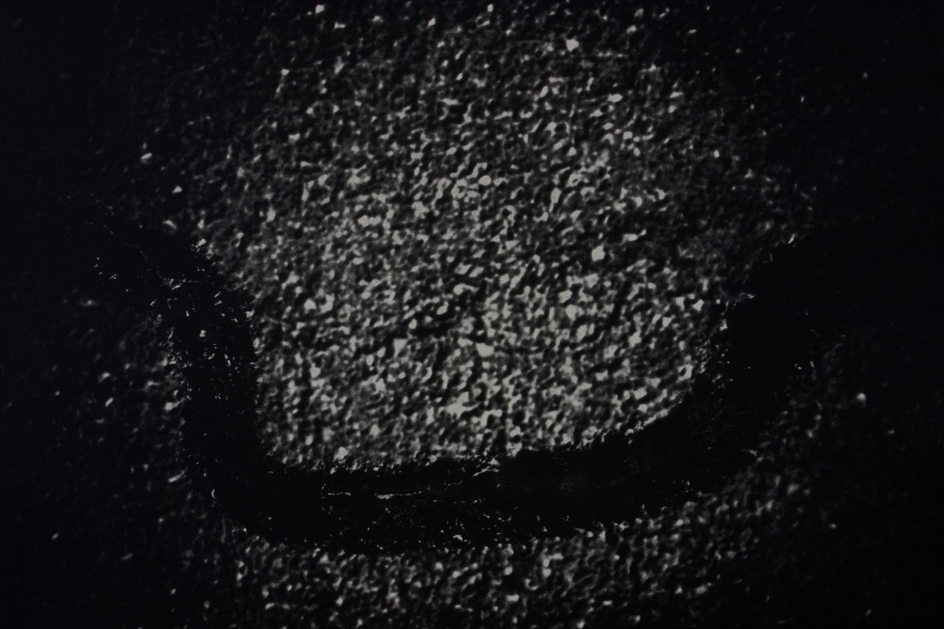 Saddle Creek, Plate 3; Multiple layer graphite & gum dichromate print, 12 x 18 inches; © 2009