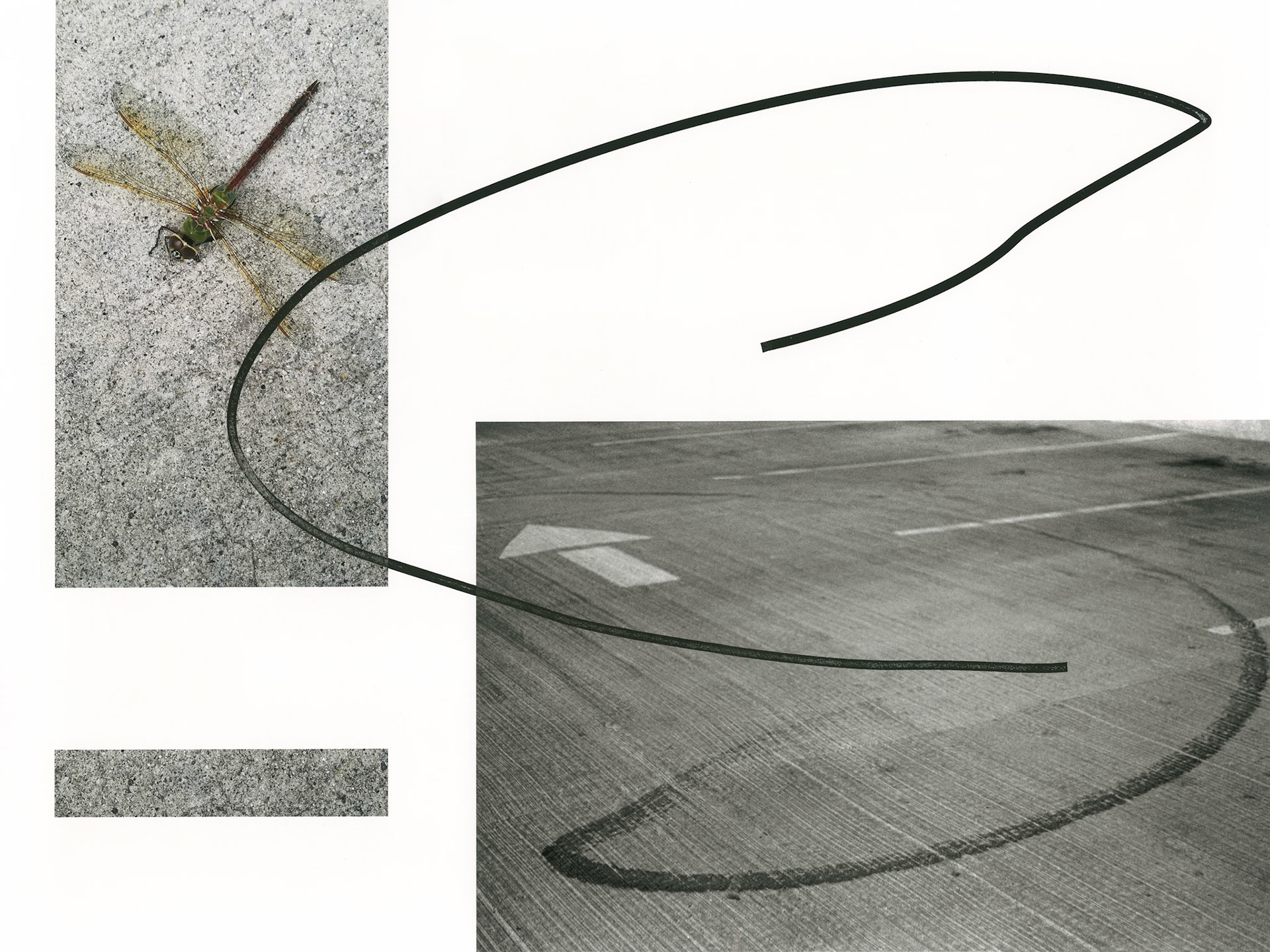 Construct No. M17-9-28 (How to Die with Dignity); Pigment print with ink drawings; 18 x 24 inches; © 2019