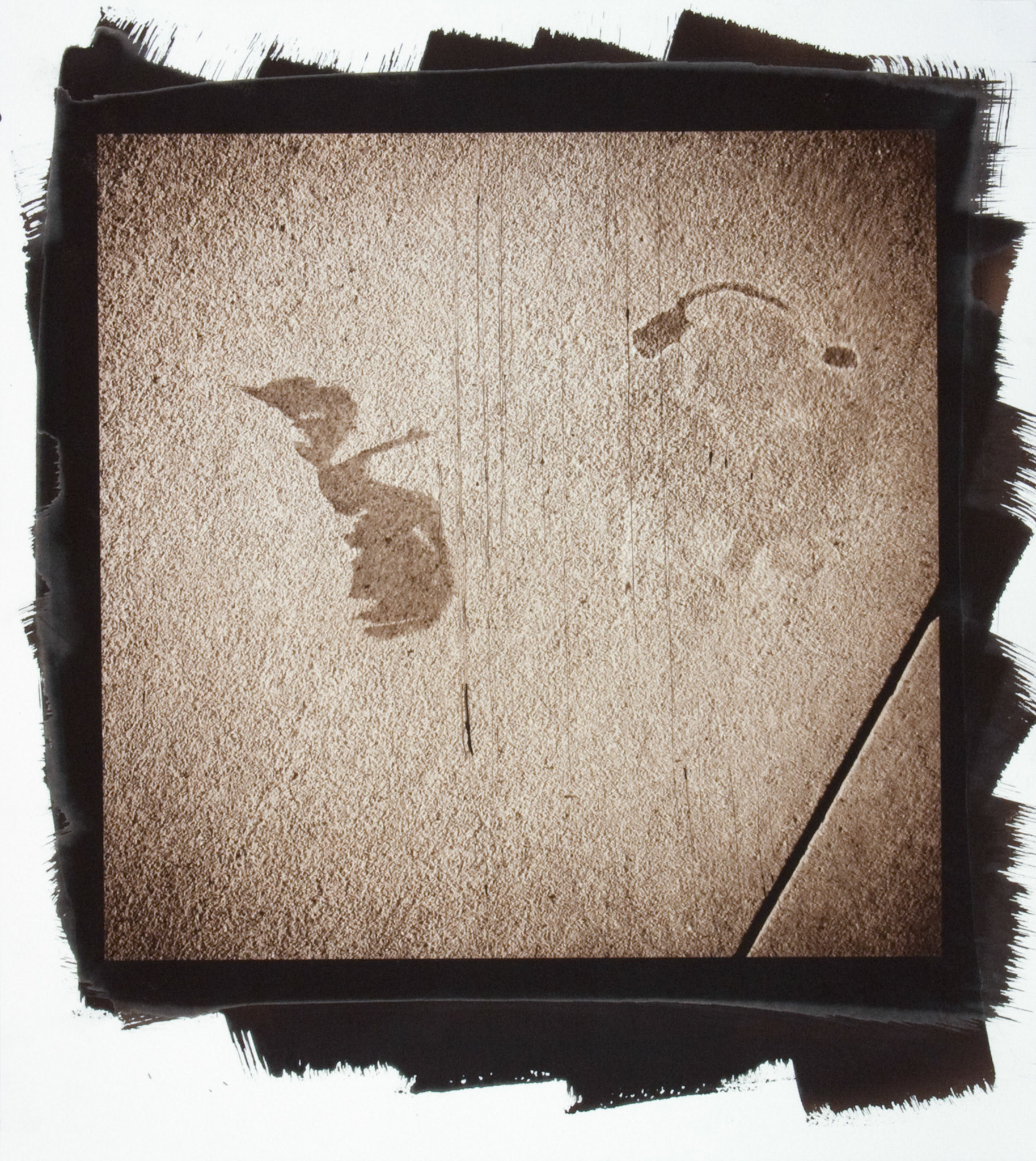 Creature No. 11; Van Dyke photograph, 17 x 15 inches; © 2010
