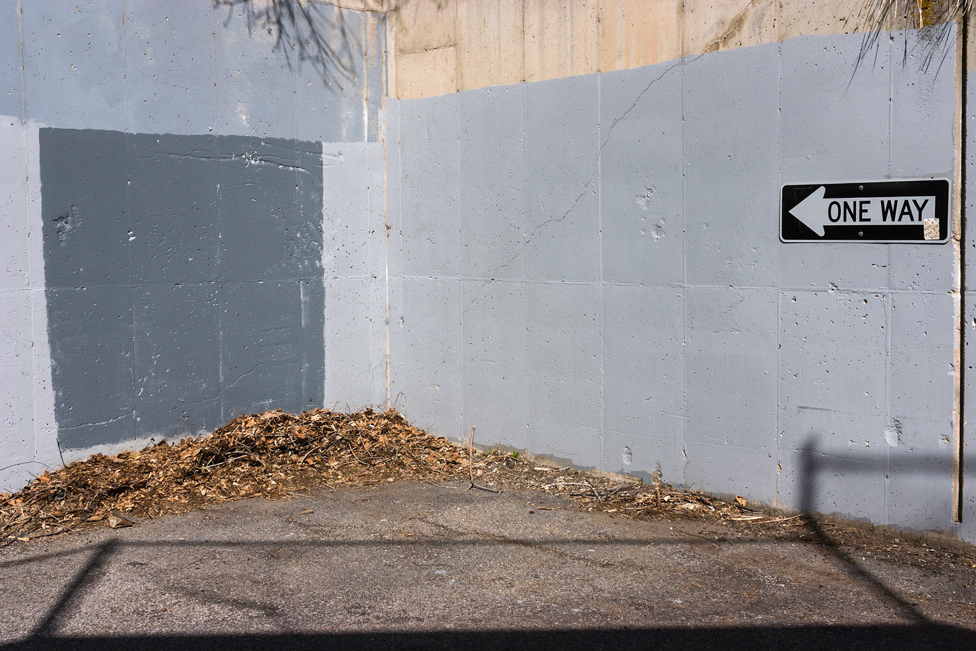 Pigment print, 20 x 30 inches; © 2012