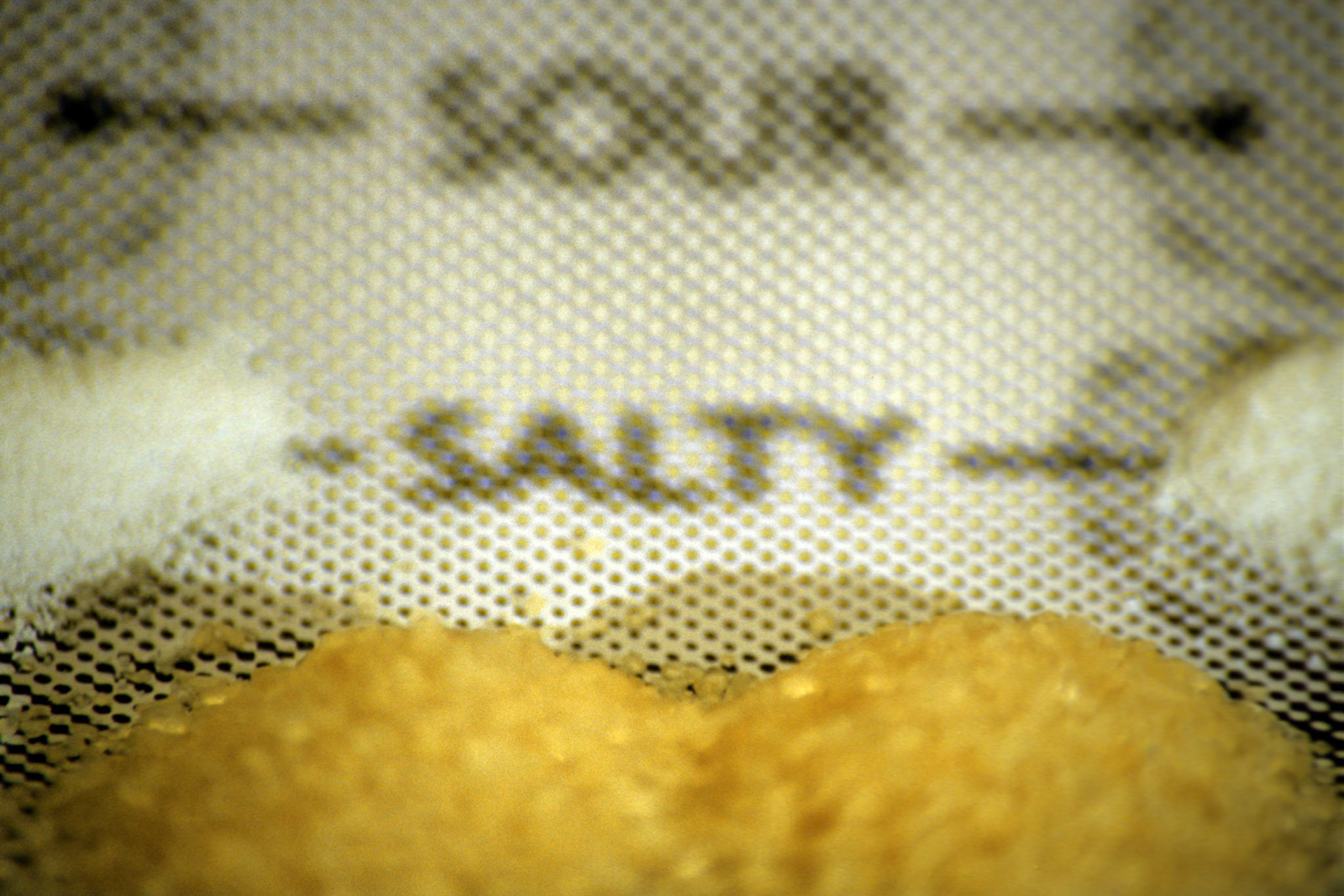 Cravings; Chromogenic print from transparency, 8 x 12 inches; © 2008