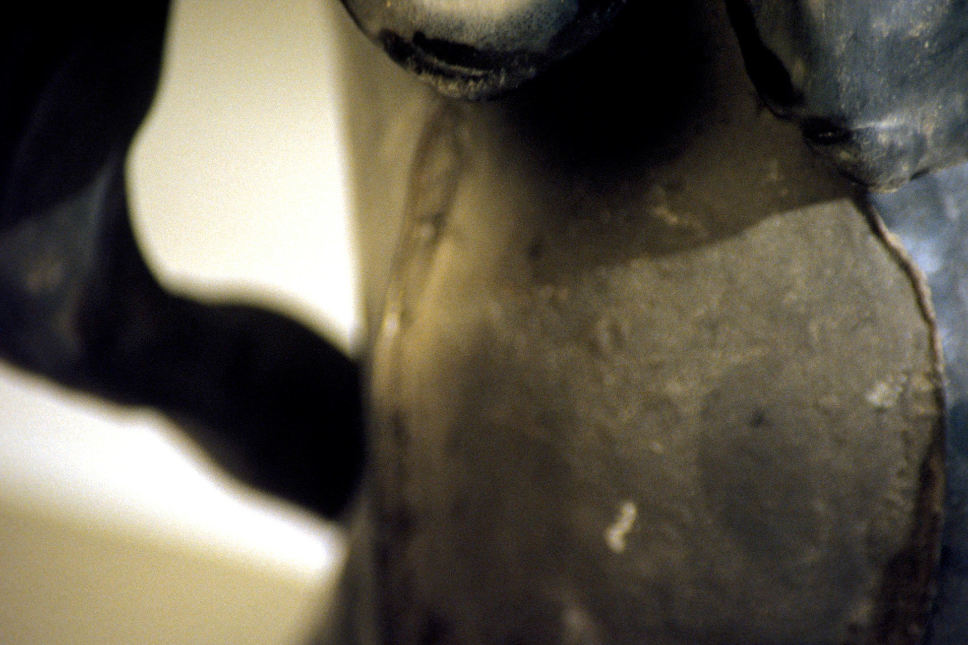 Robust; Chromogenic print from transparency, 8 x 12 inches; © 2008