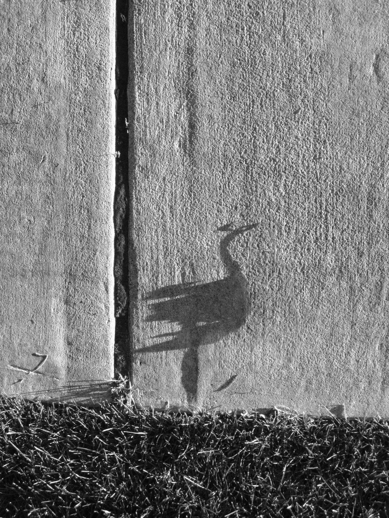 Creature No. 29; Pigment print, 4 x 3 inches; © 2011