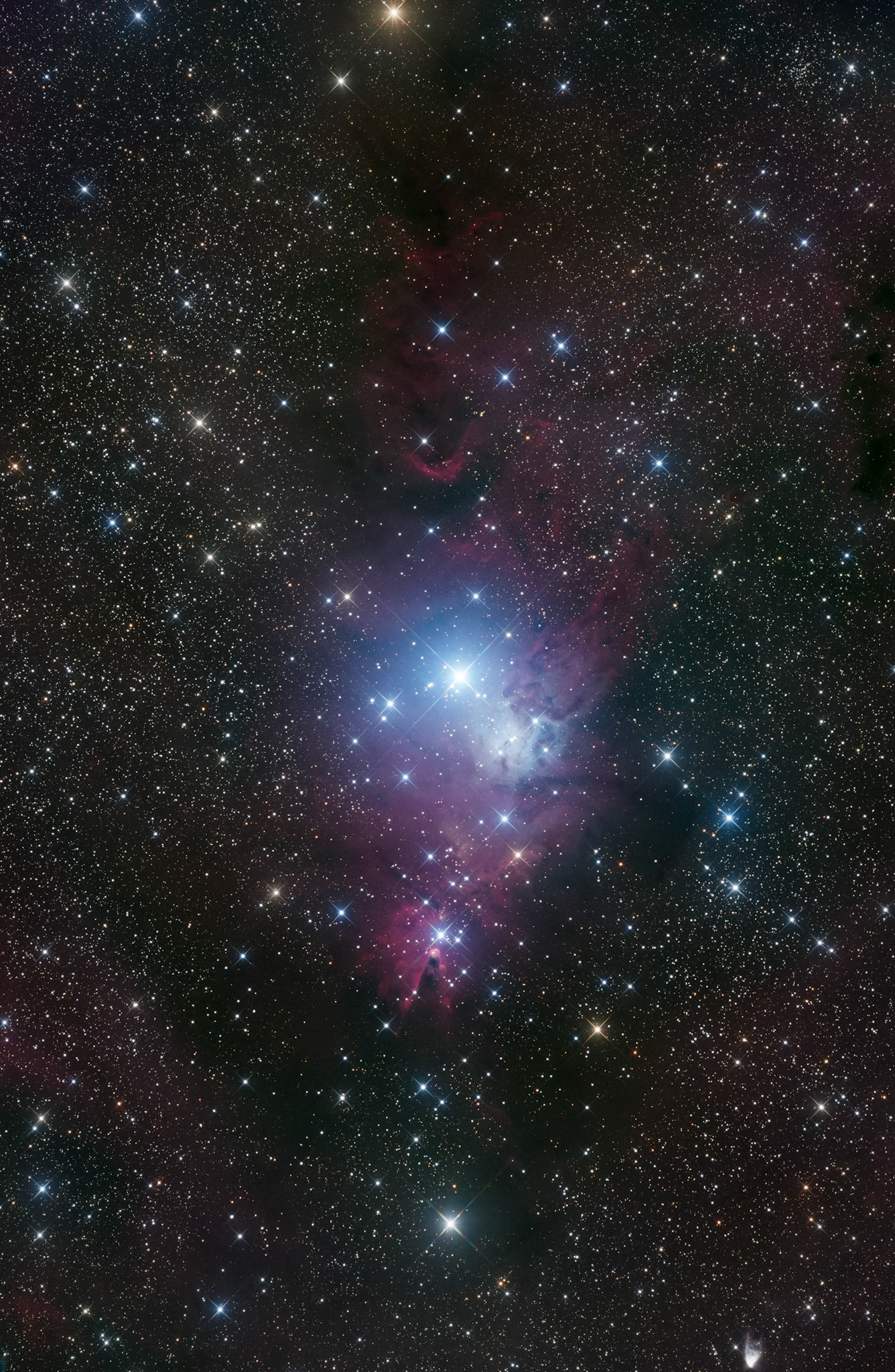 Cone Nebula & Christmas Tree Cluster