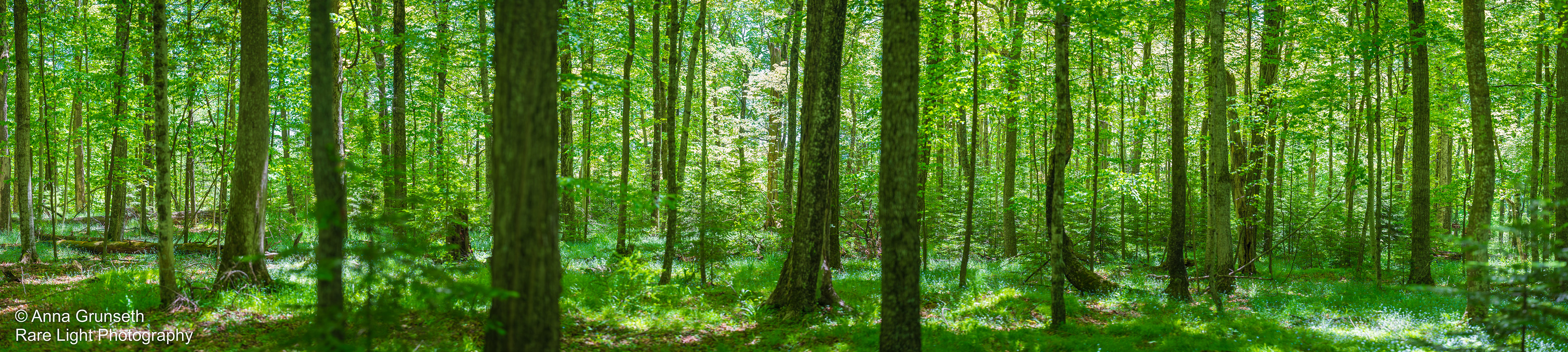 Peninsula State Park, WI