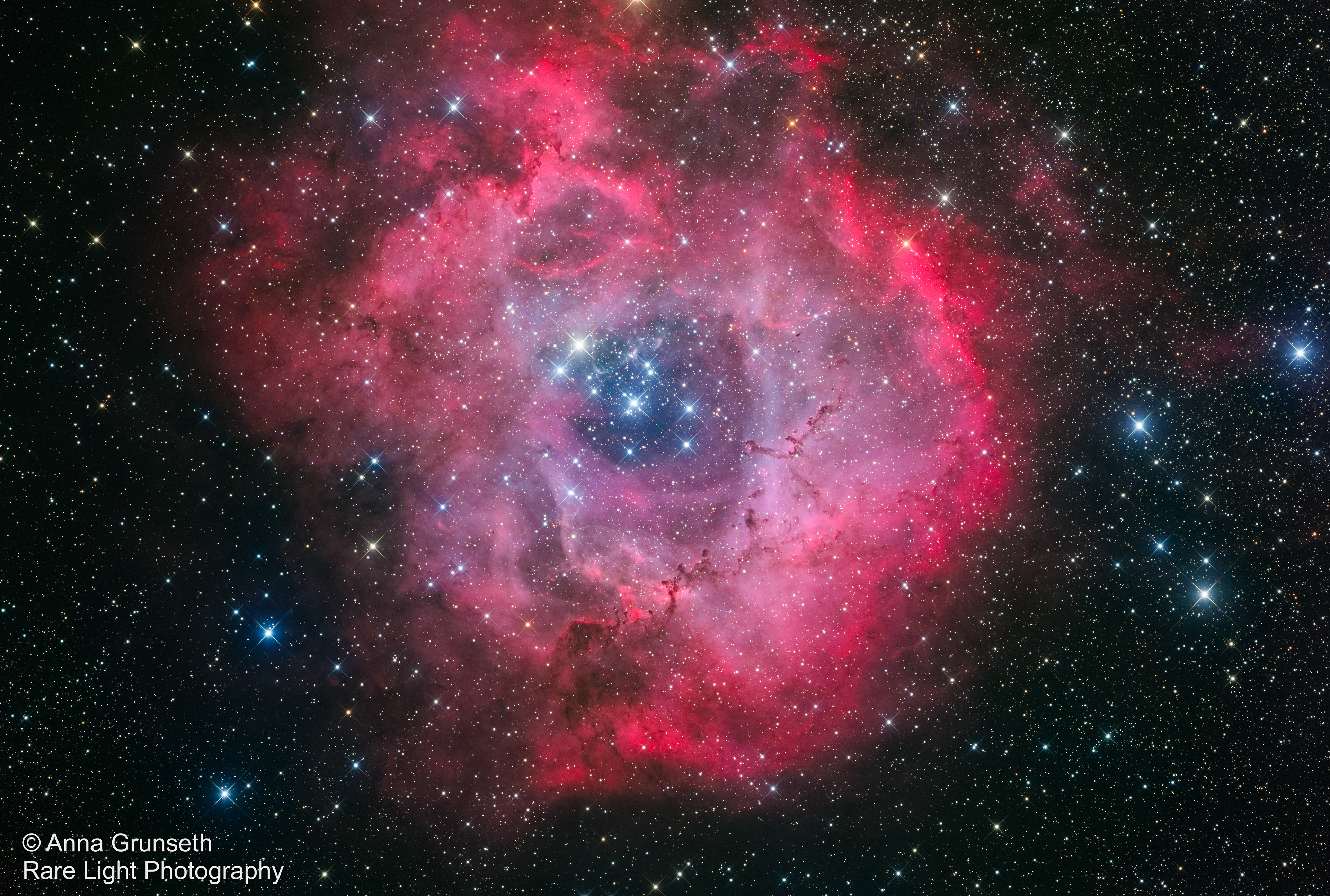 Caldwell 49 - Rosette Nebula