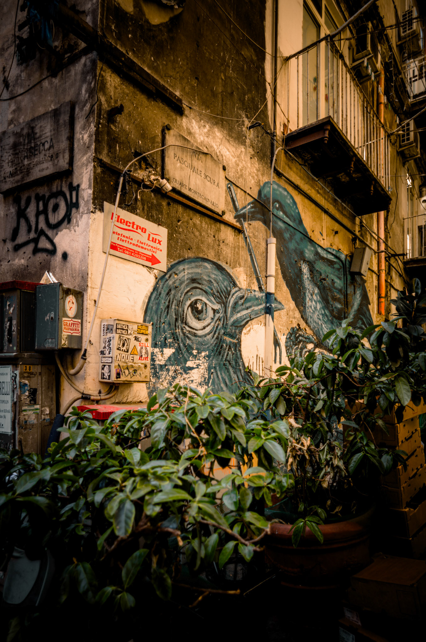 Napoli