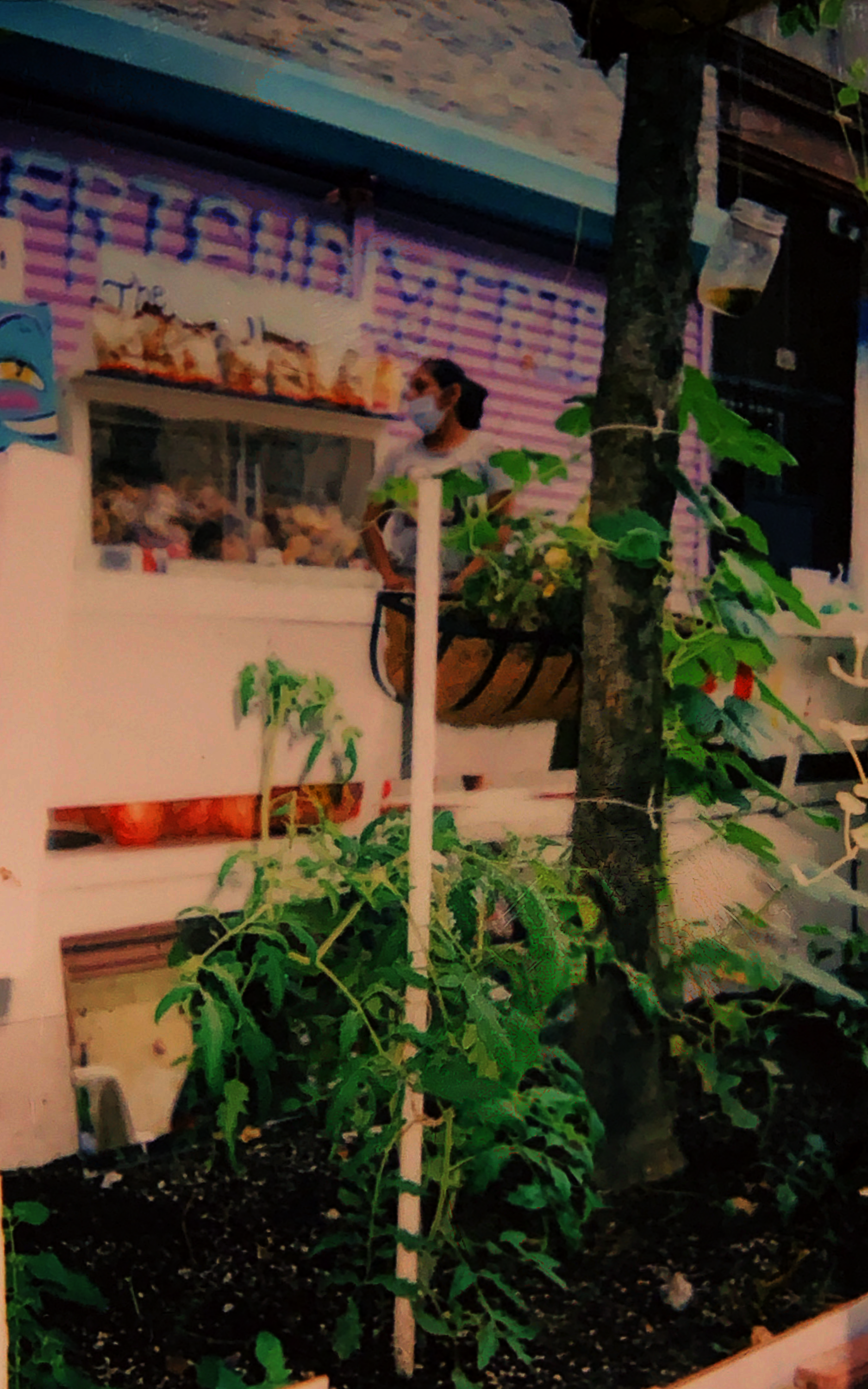 Plantyty (2020)