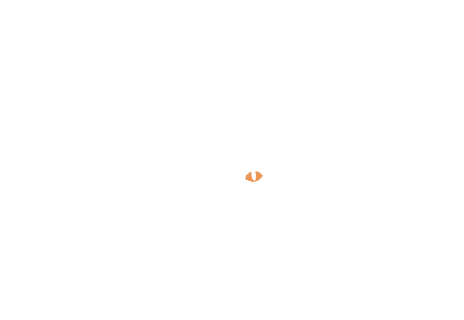 Darian's Logo