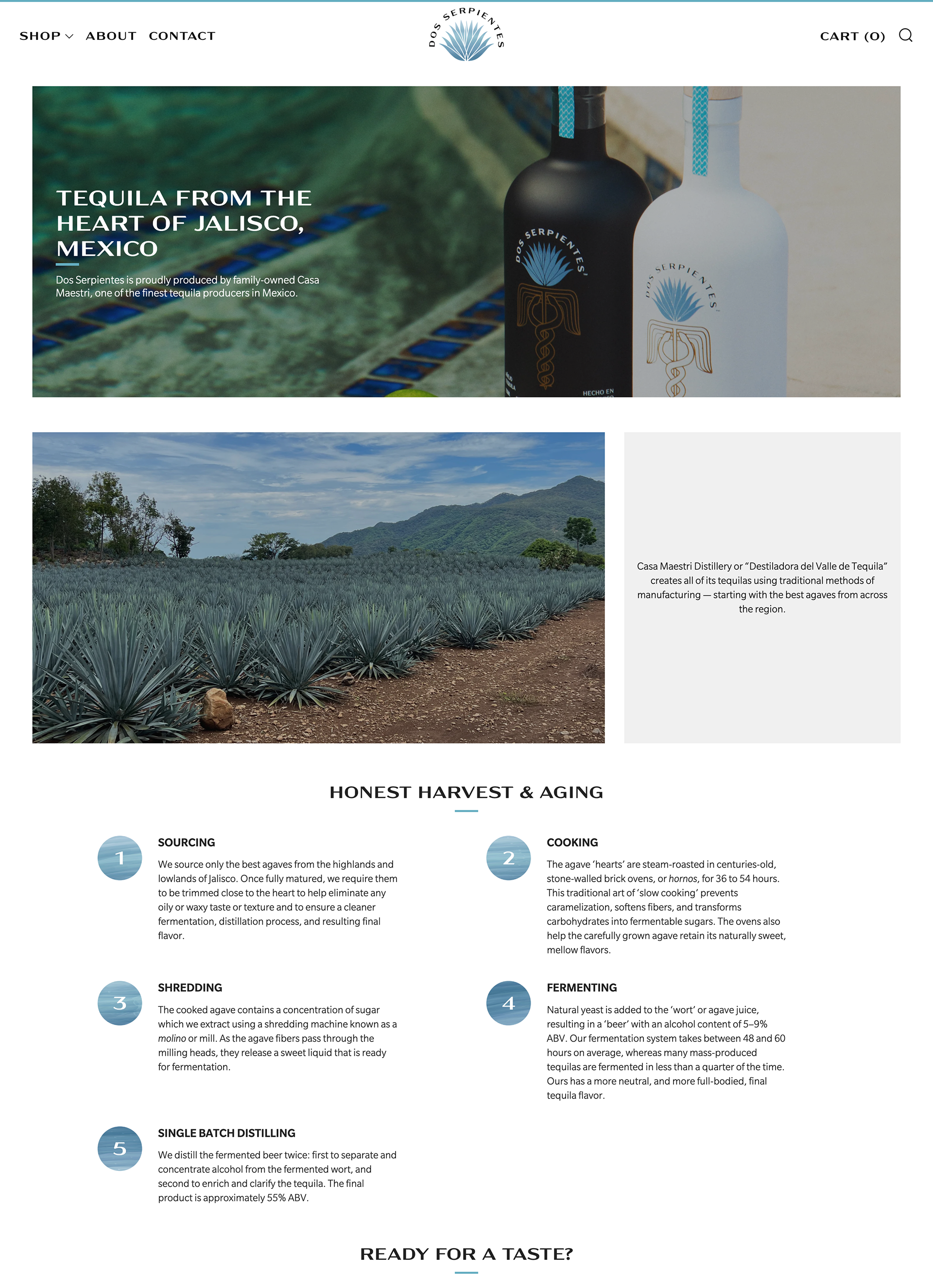 Dos Serpientes website about page