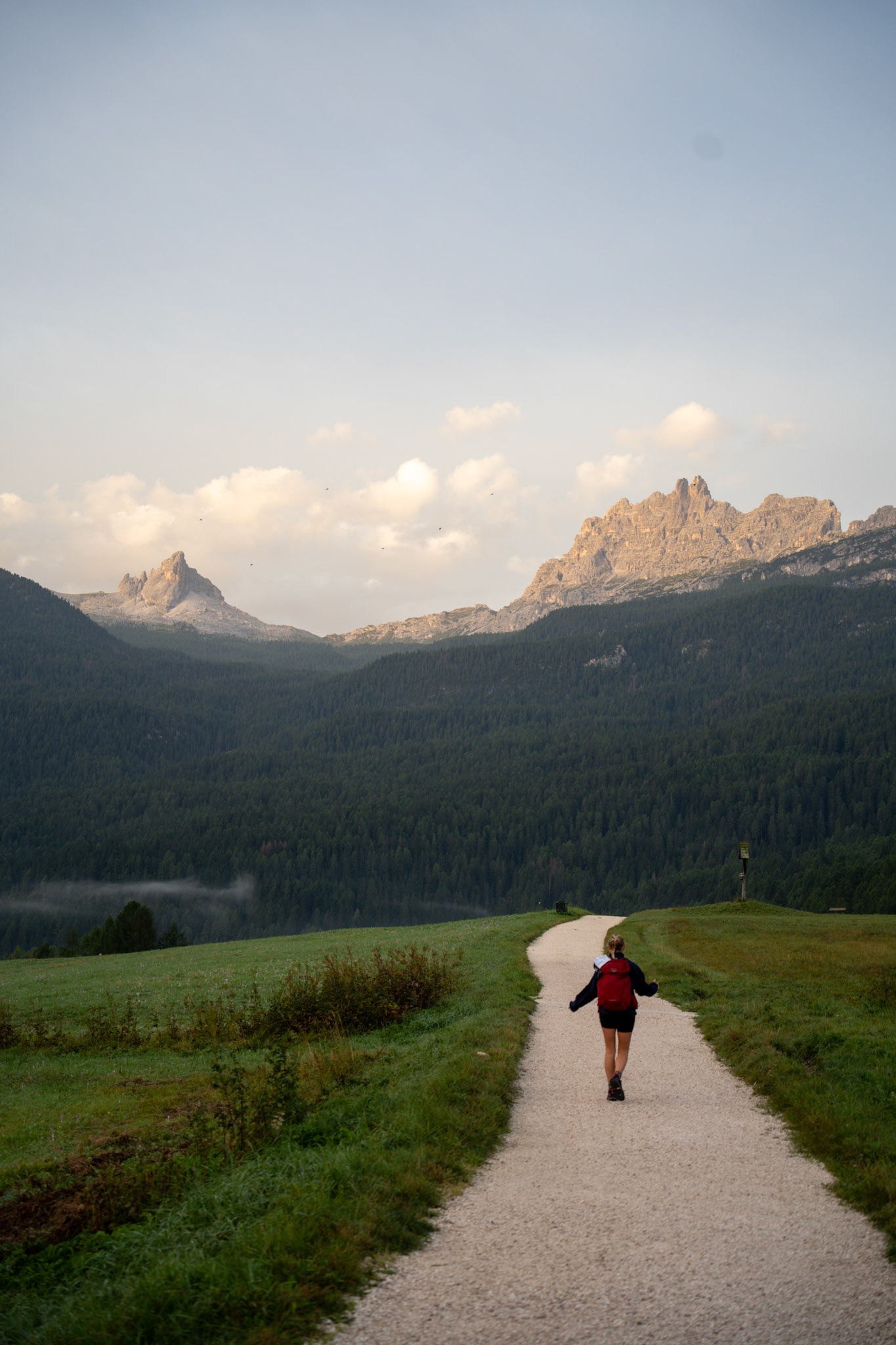 “Well You Can Take A Bus”