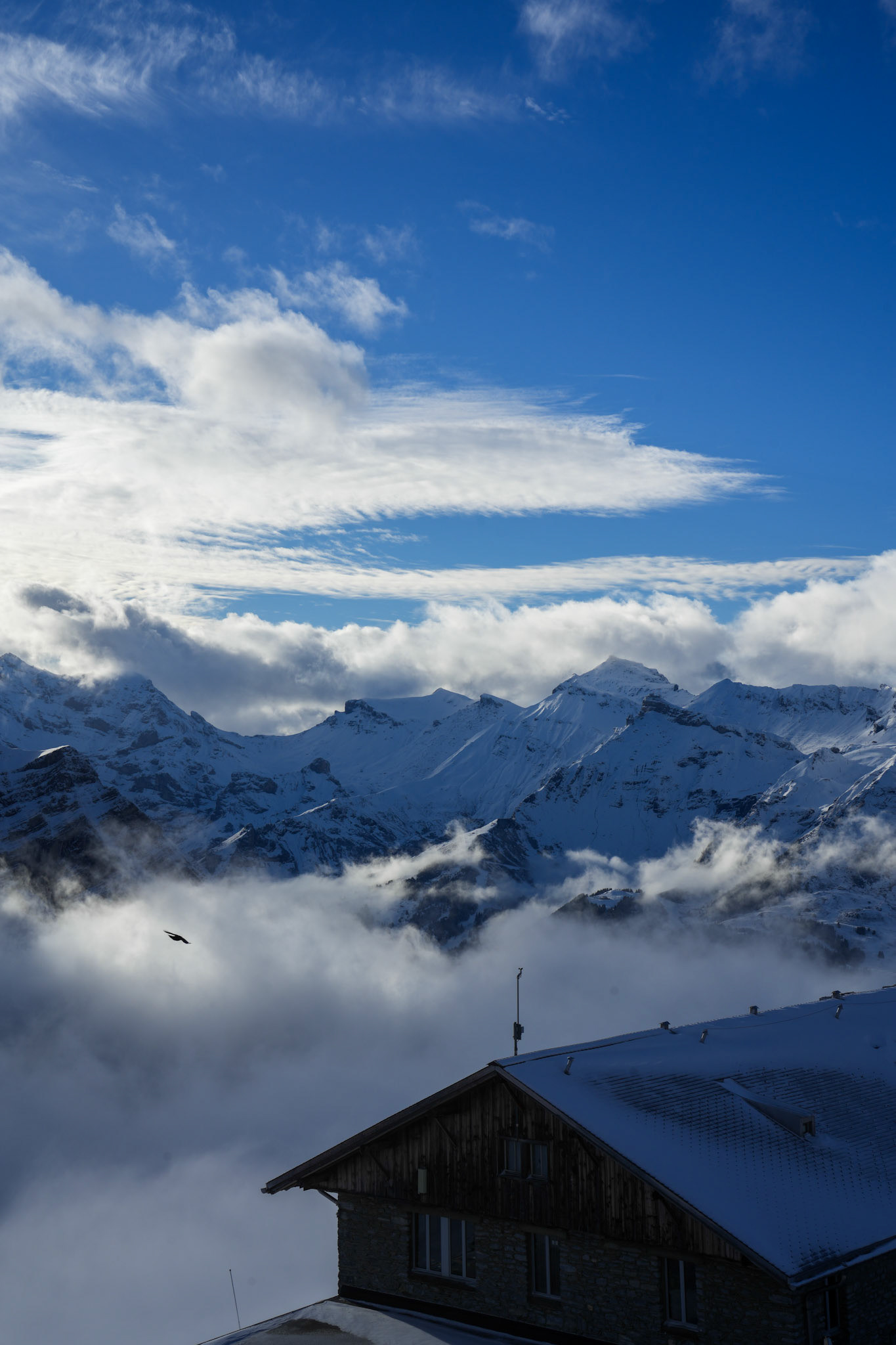 Home for the night...