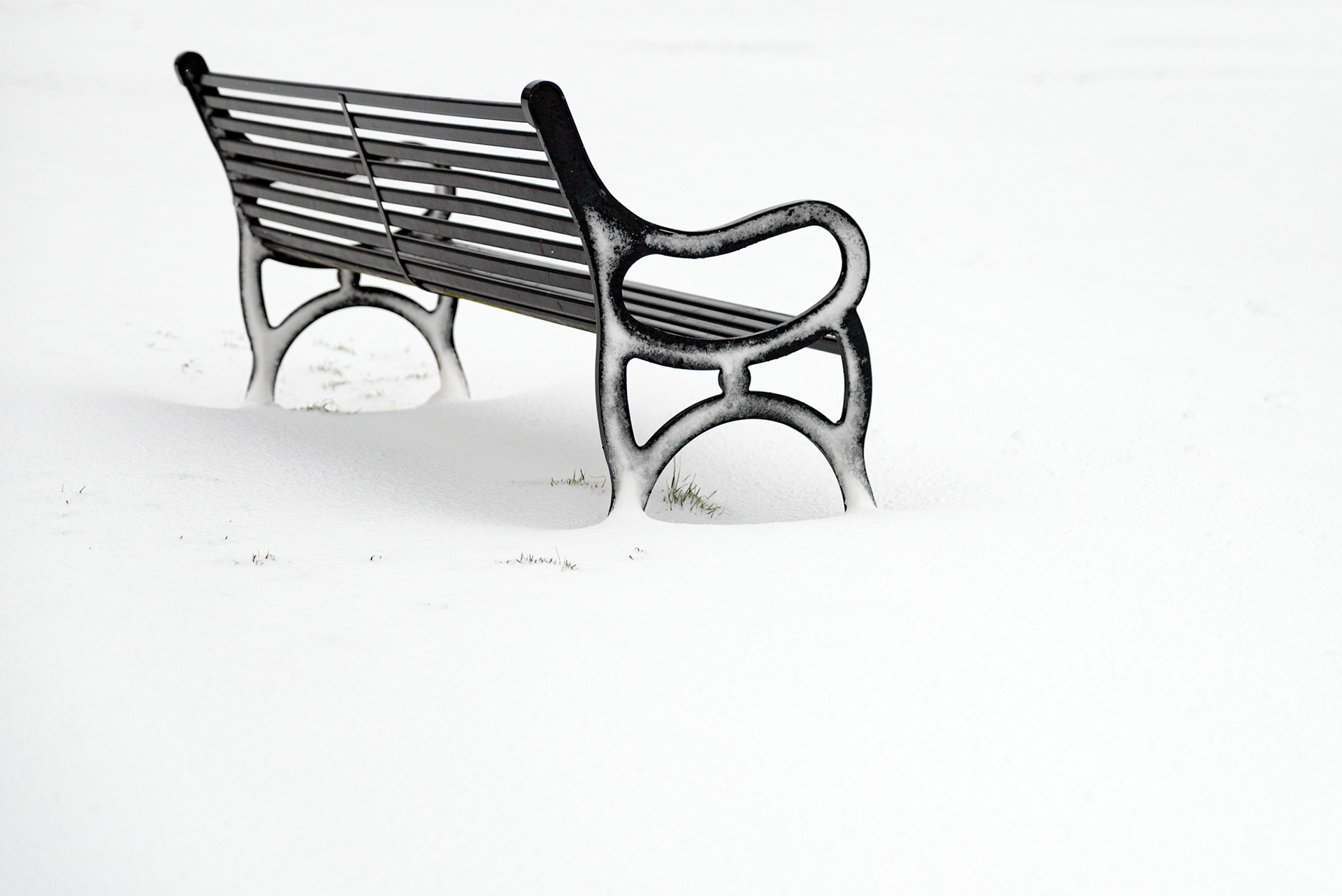 The Bench