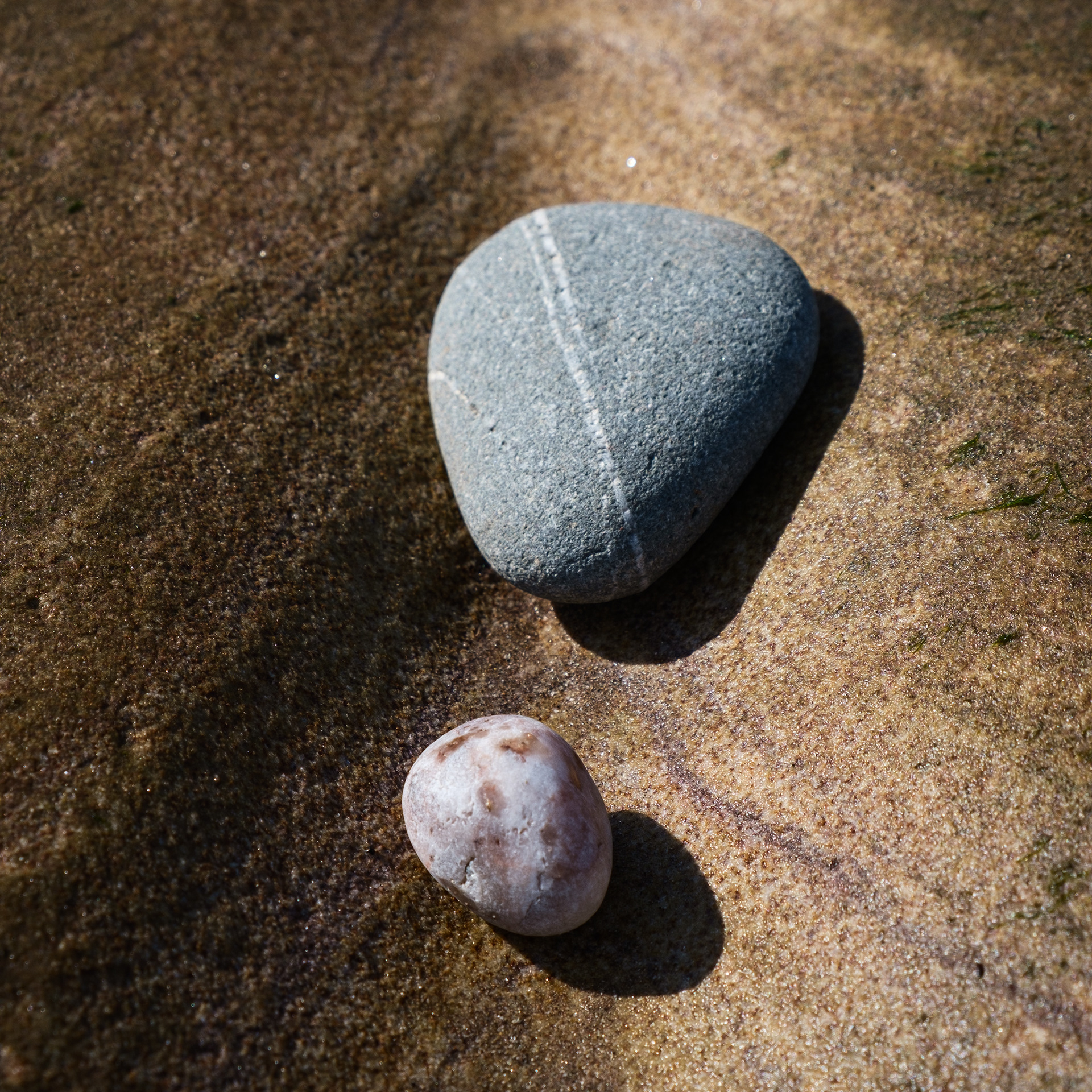 Stone Me