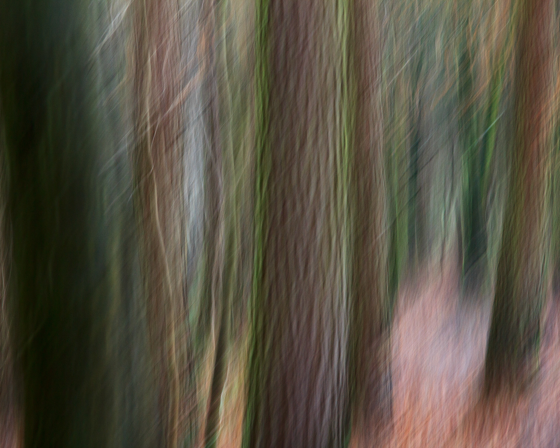 Pentland 3