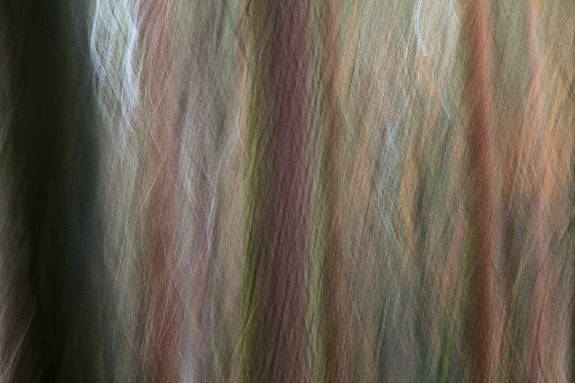 Pentland 2