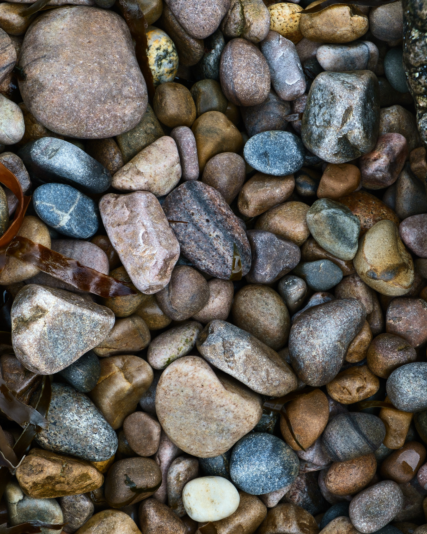 Pebbles on a Beach