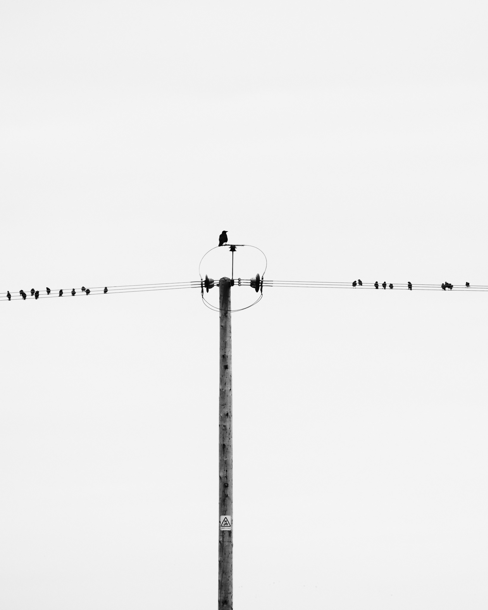 High Wire Act