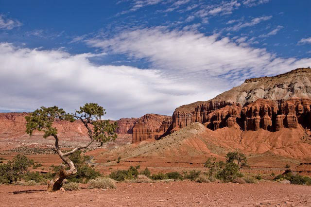 Capitol Reef NP