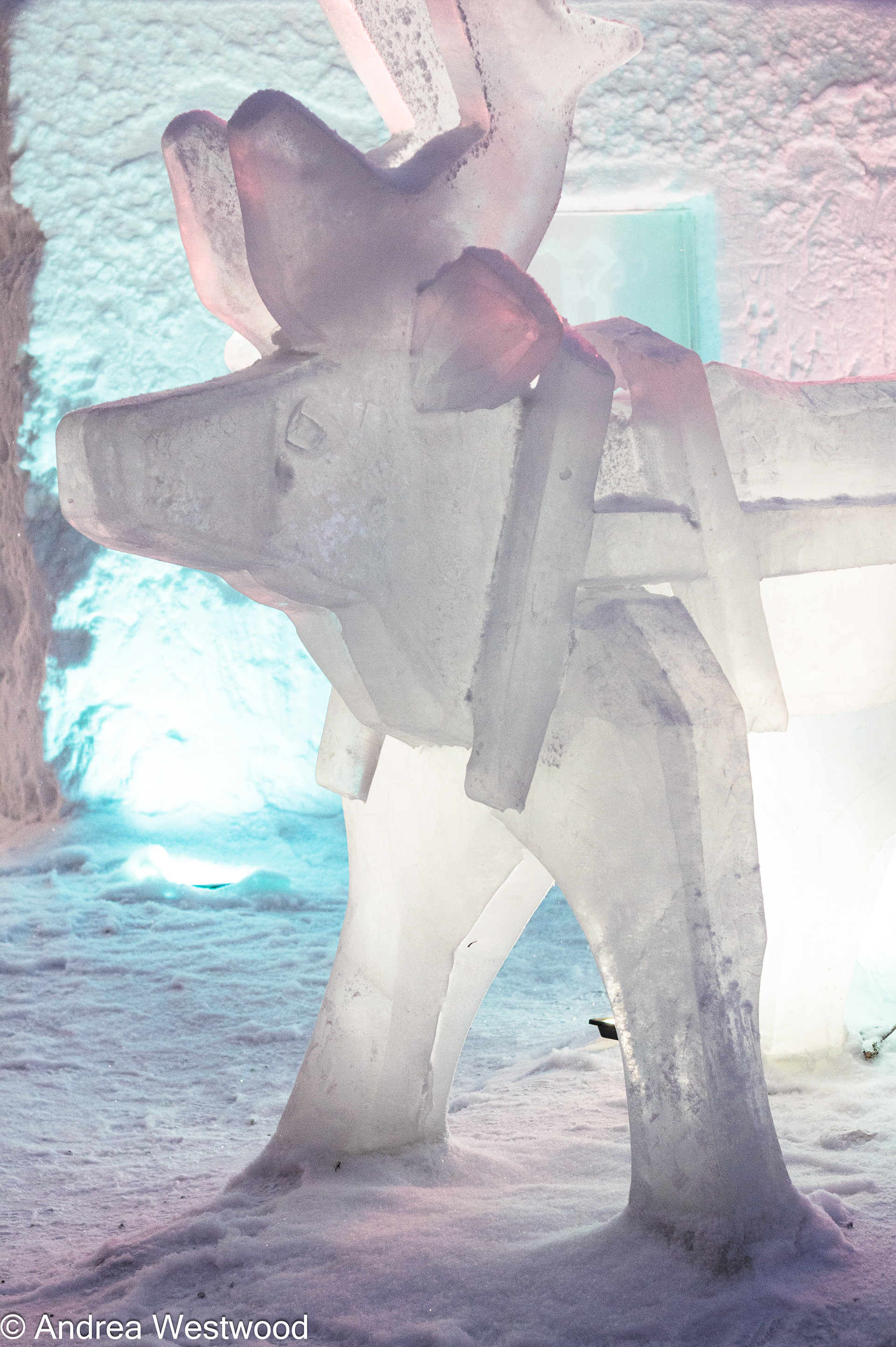 Ice Reindeer