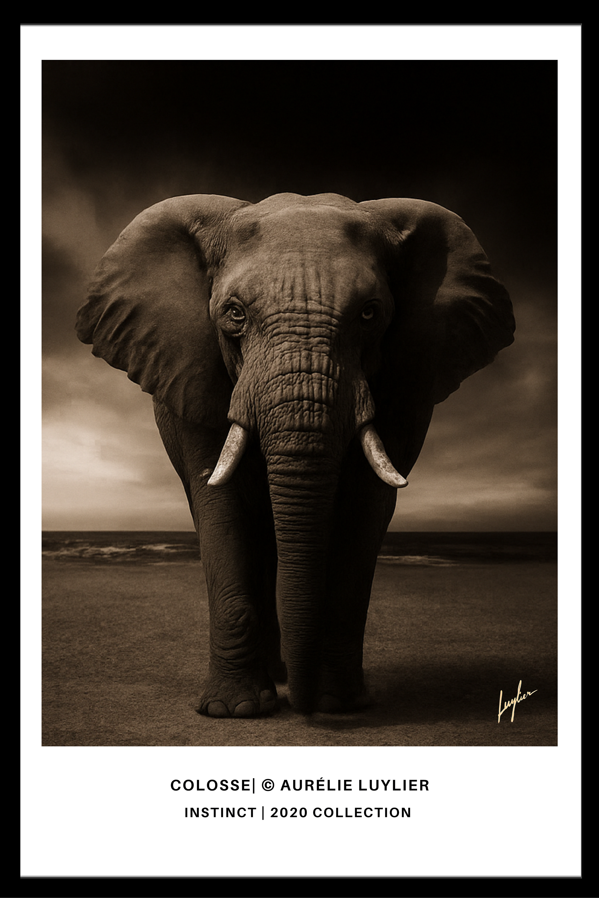 Colosse | © Aurélie Luylier