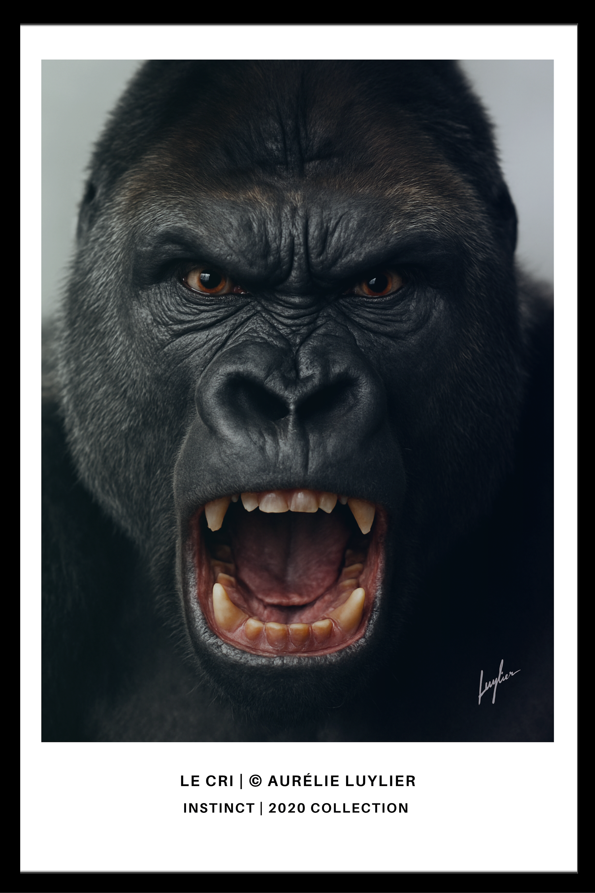 LE CRI | © Aurélie Luylier