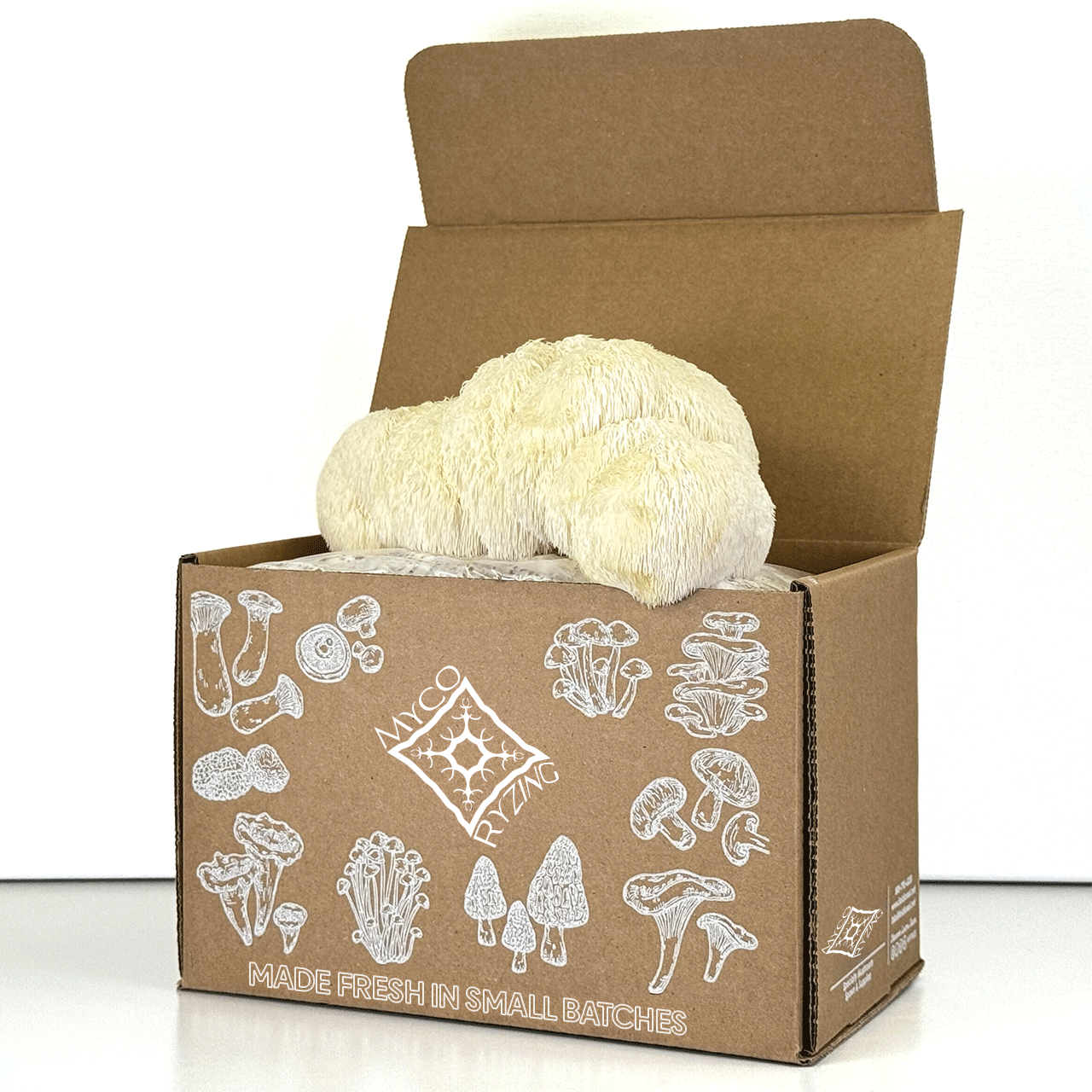 The client needed a box designed for his lion's mane line. I created a product design that show cased a variety of mushrooms and stayed within the white stroke branding. 