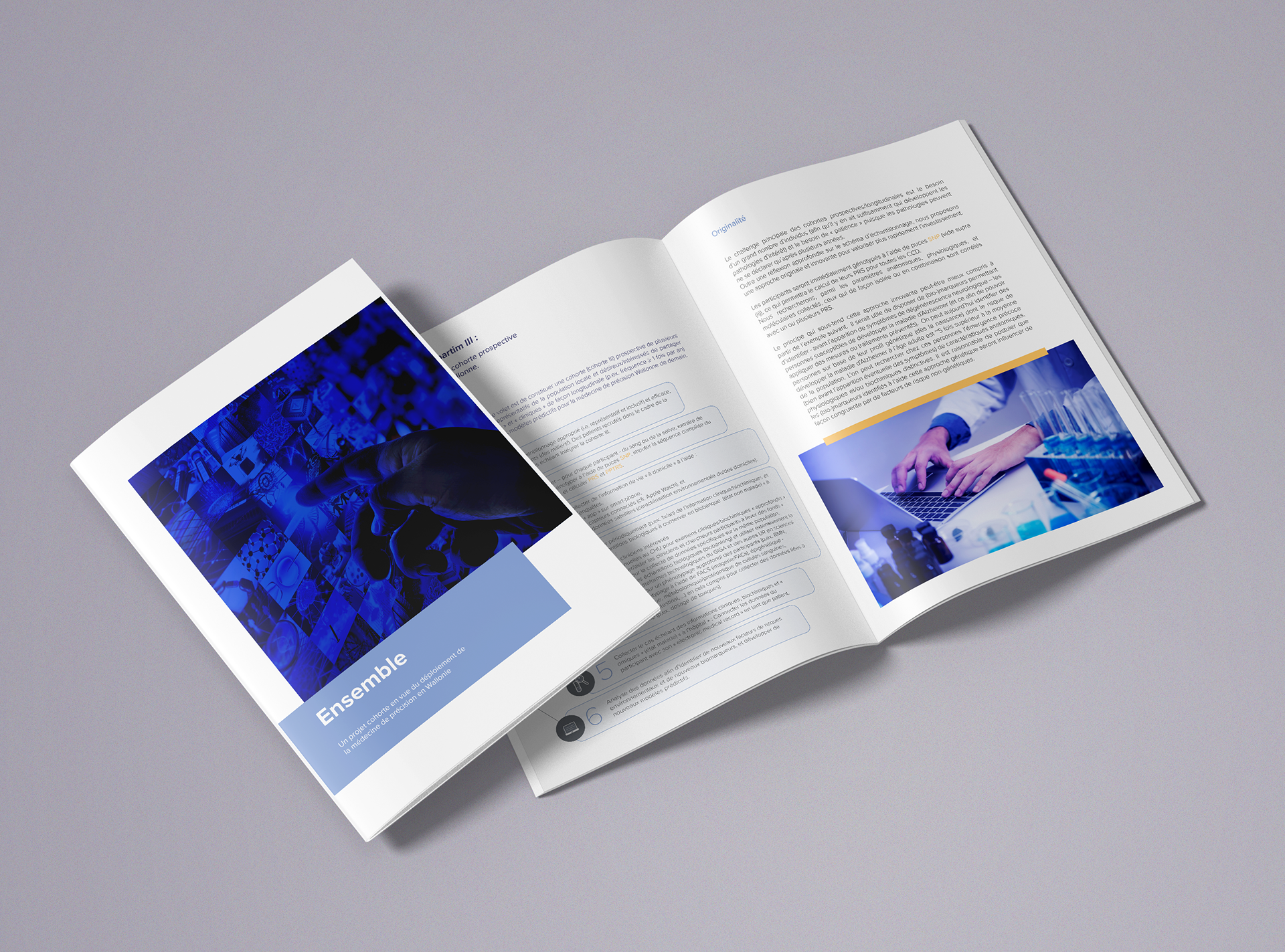 Brochures