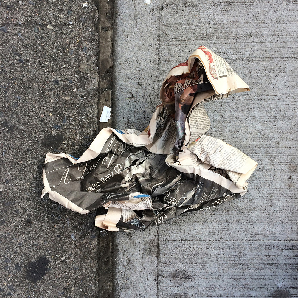 A photo of lost or discarded material found on a city street—with a form interpreted as resembling a duck.