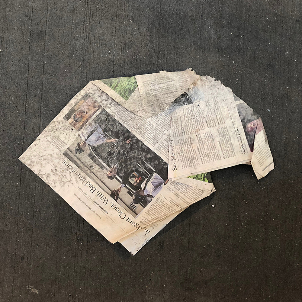 A photo of lost or discarded material found on a city street—with a form interpreted as resembling a beak.