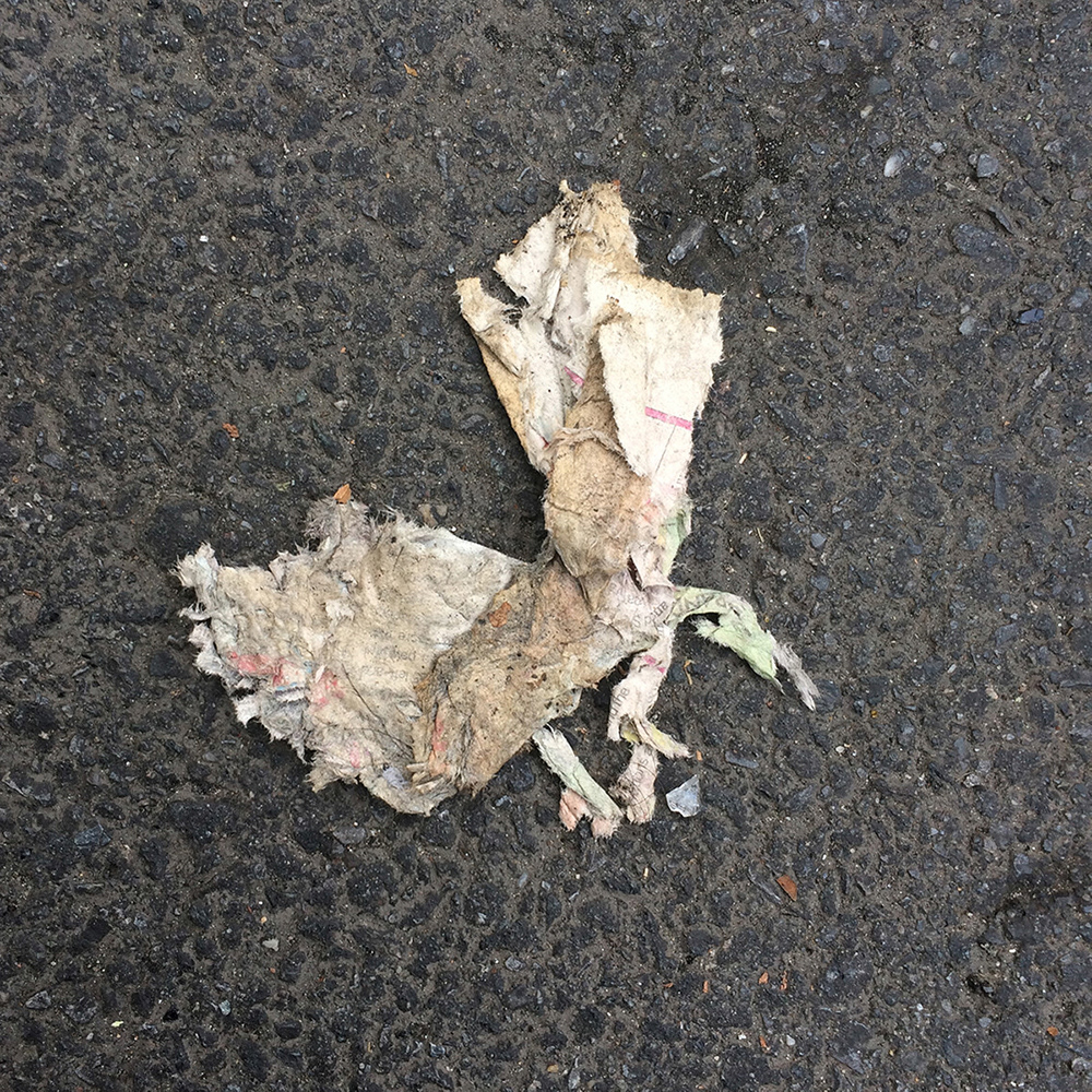 A photo of lost or discarded material found on a city street—with a form interpreted as resembling a vulture.