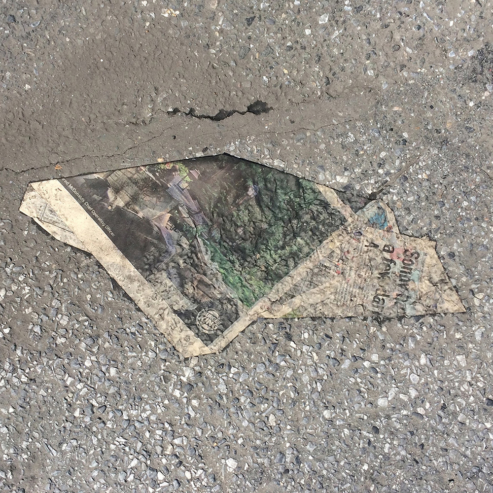 A photo of lost or discarded material found on a city street—with a form interpreted as resembling a bird.