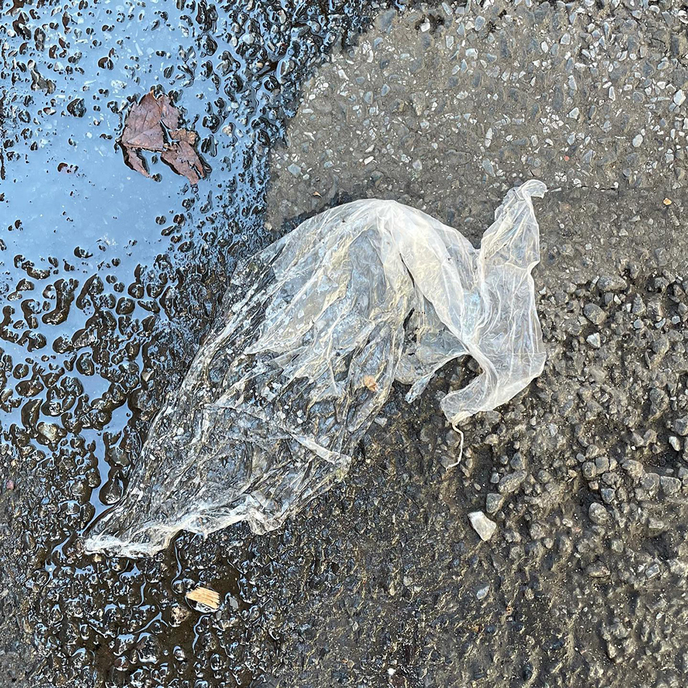 A photo of lost or discarded material found on a city street—with a form interpreted as resembling a wing.