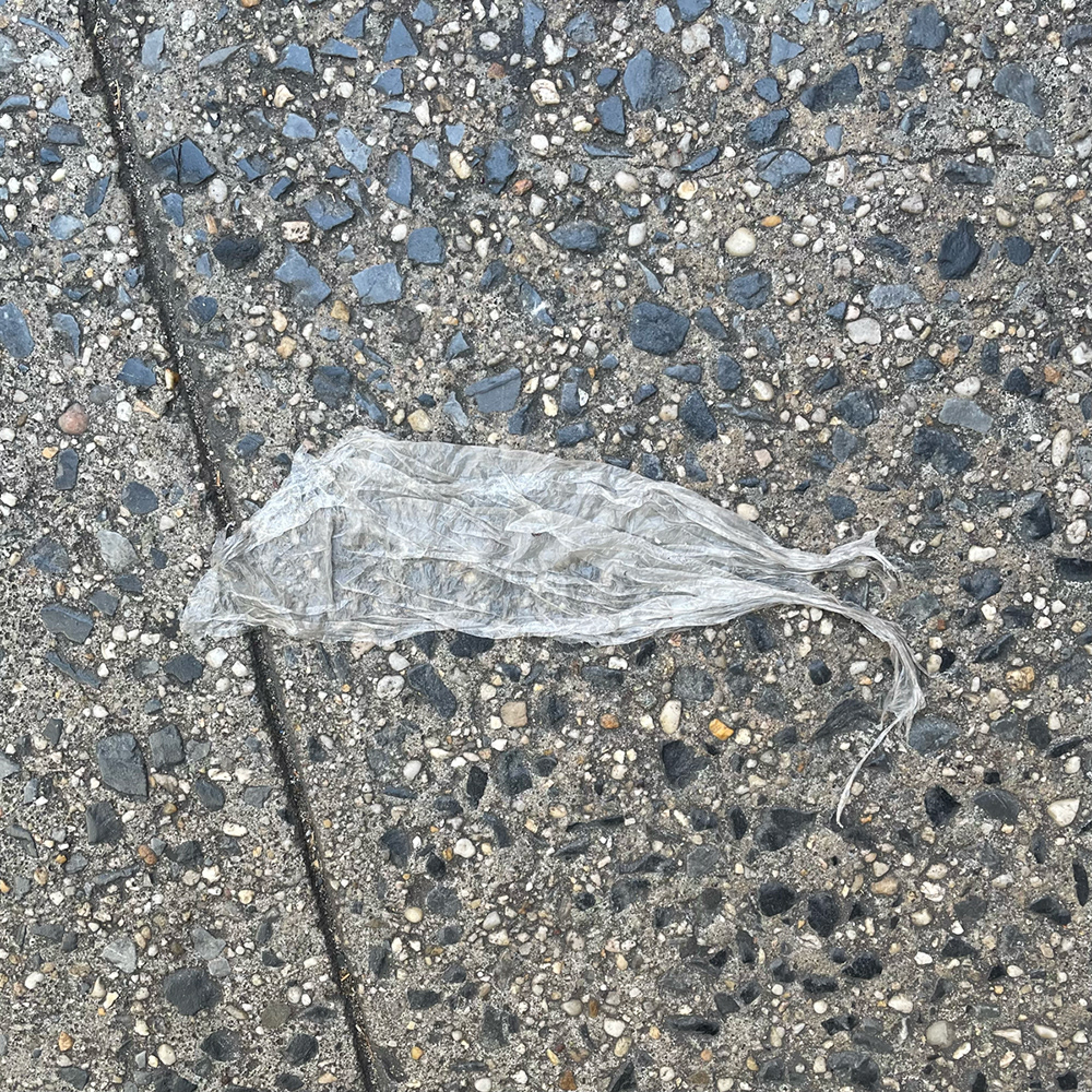 A photo of lost or discarded material found on a city street—with a form interpreted as resembling a rat.