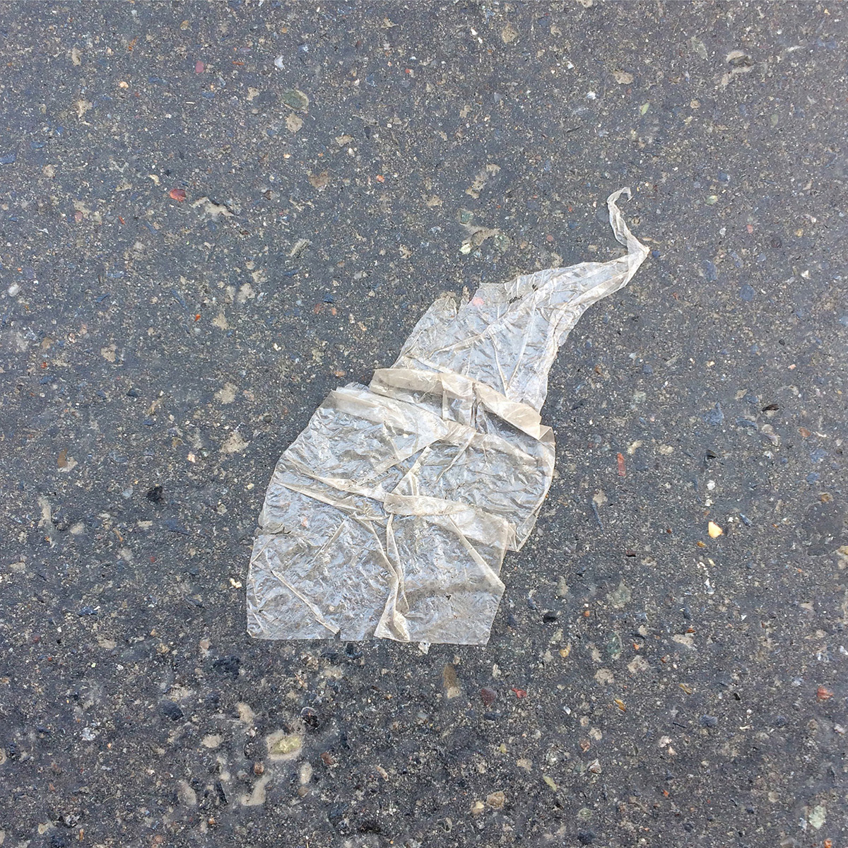 A photo of lost or discarded material found on a city street—with a form interpreted as resembling an elephant.