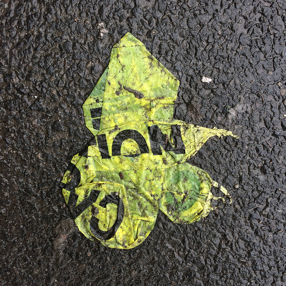 A photo of lost or discarded material found on a city street—with a form interpreted as resembling a scarf.