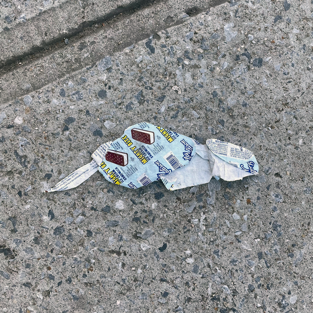 A photo of lost or discarded material found on a city street—with a form interpreted as resembling a chinchilla.