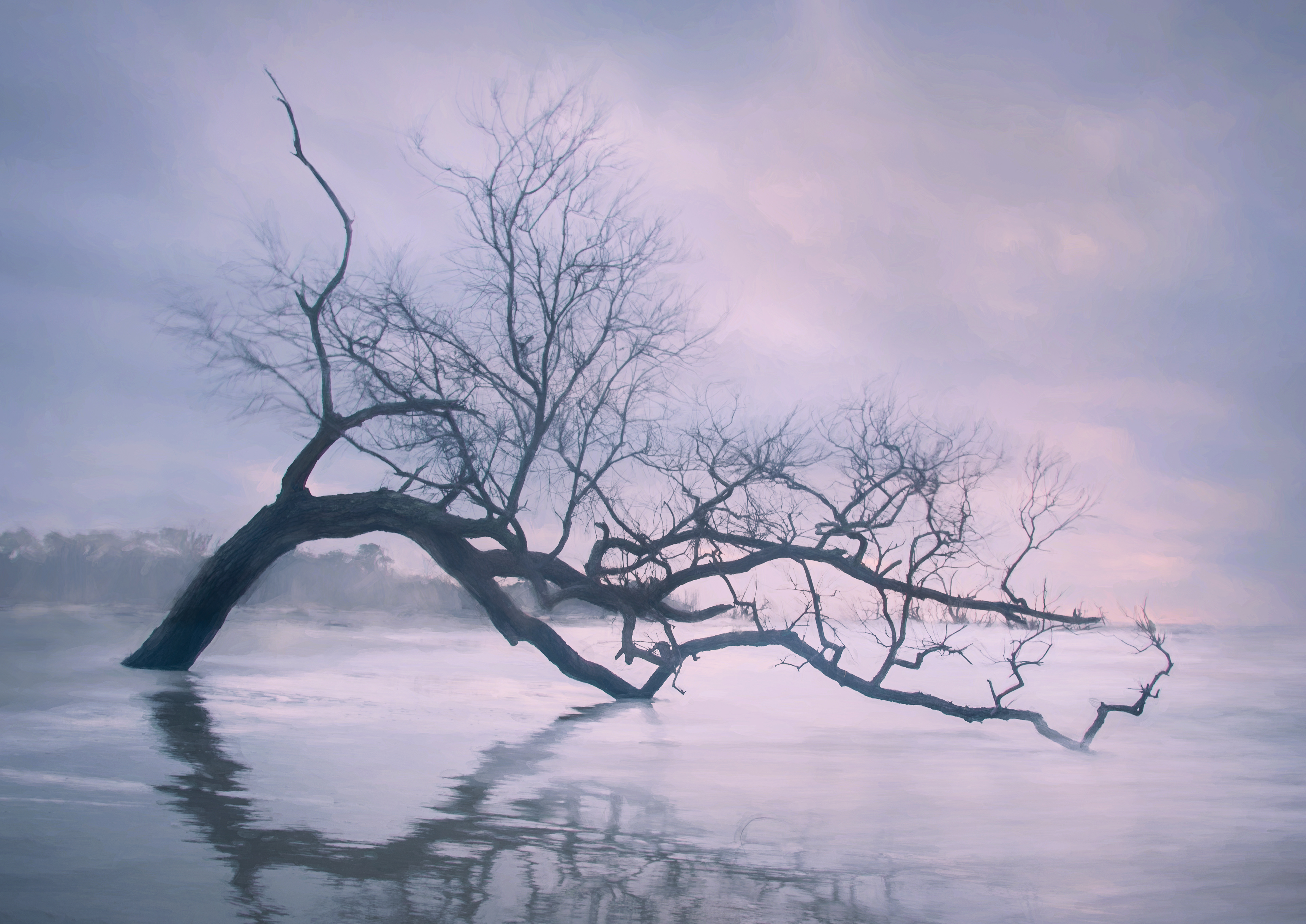 Hunting Island, South Carolina