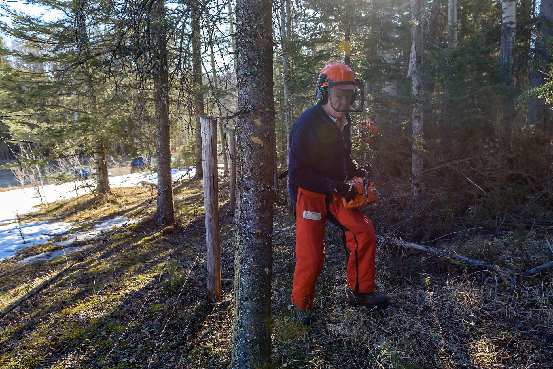 Peter Spear, of the 300 Group Trail Maintenance Association, clears fenceline with a chainsaw on the northeast boundary of Brown-Lowery Provincial Park, north of Turner Valley on April 6, 2022.