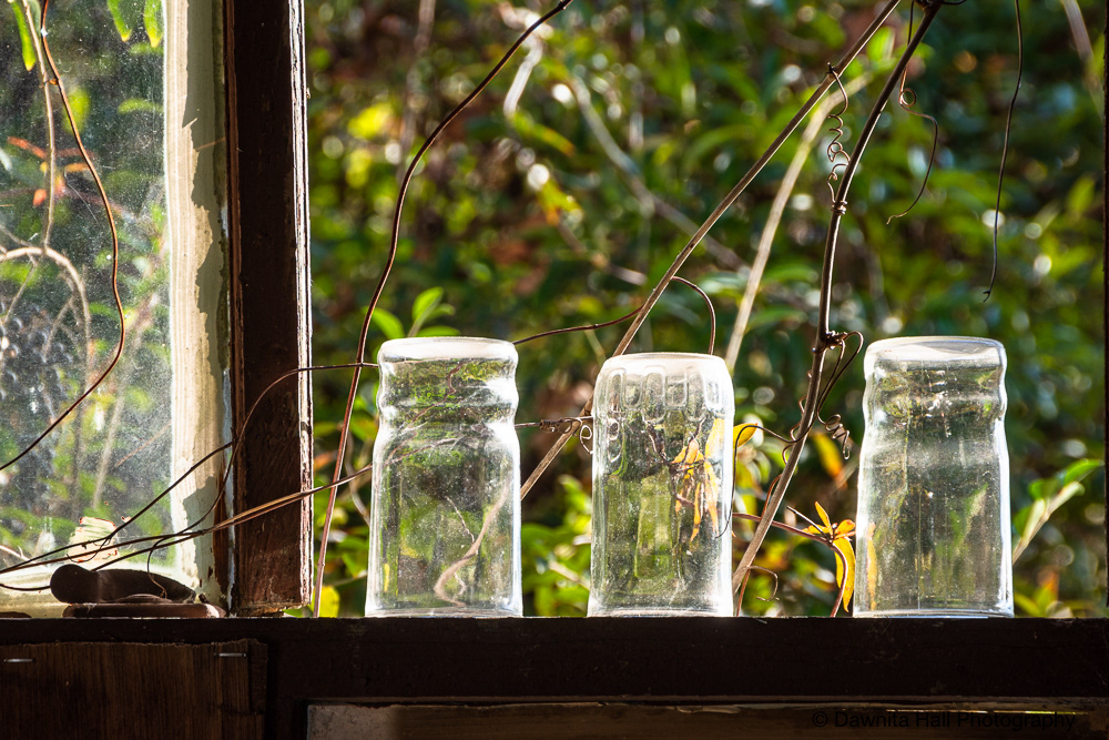 Juice Glasses in Window