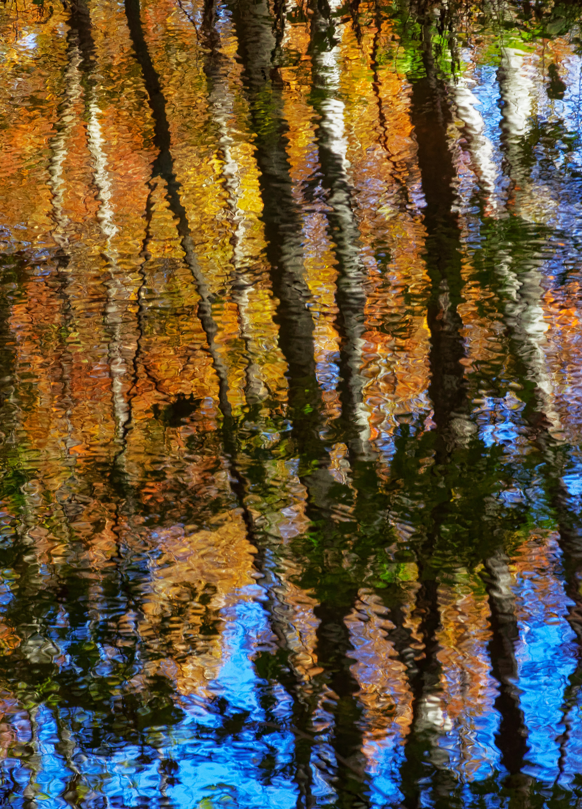 Impressionistic Reflections