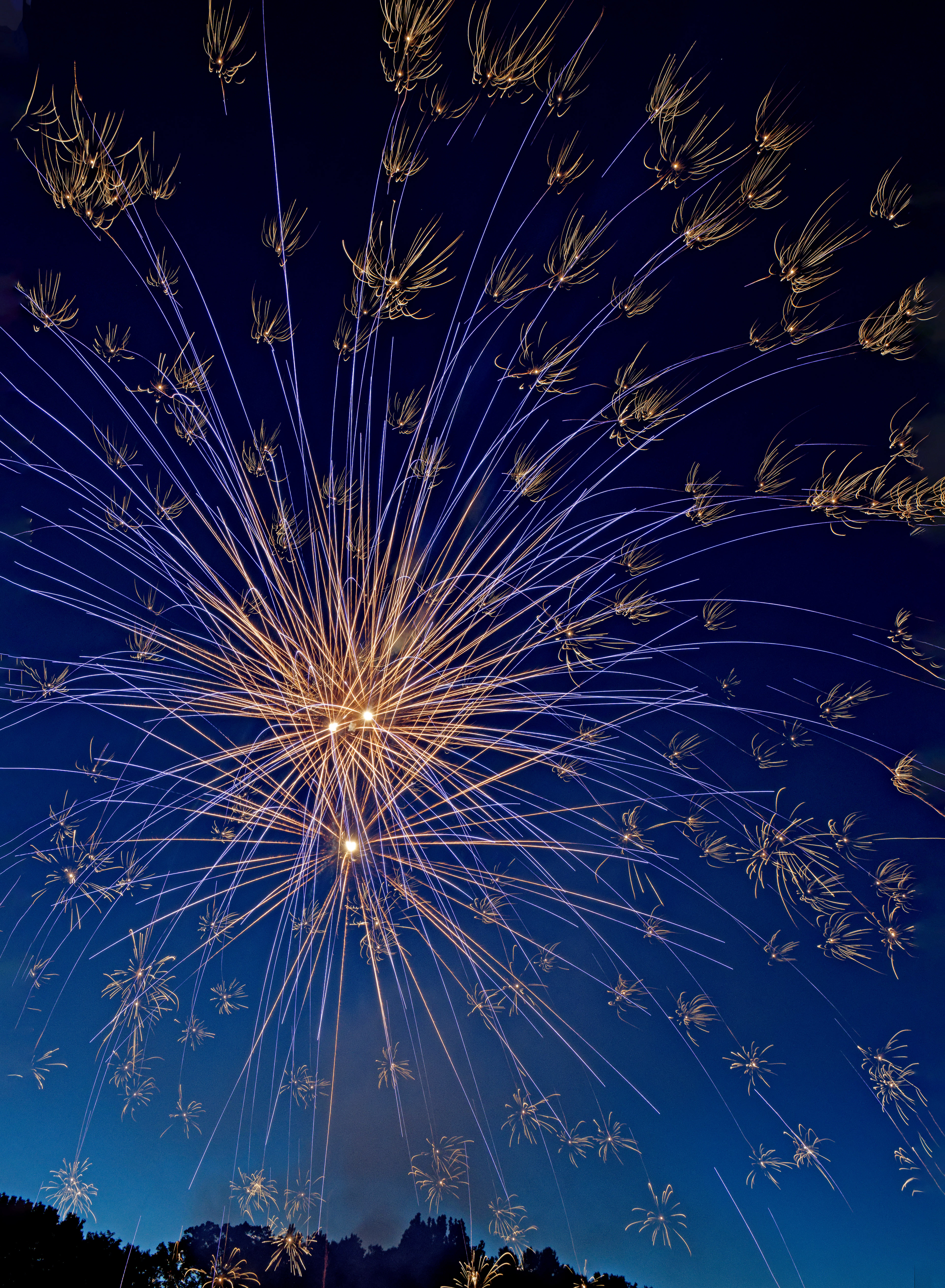 The Stars of the Fourth of July